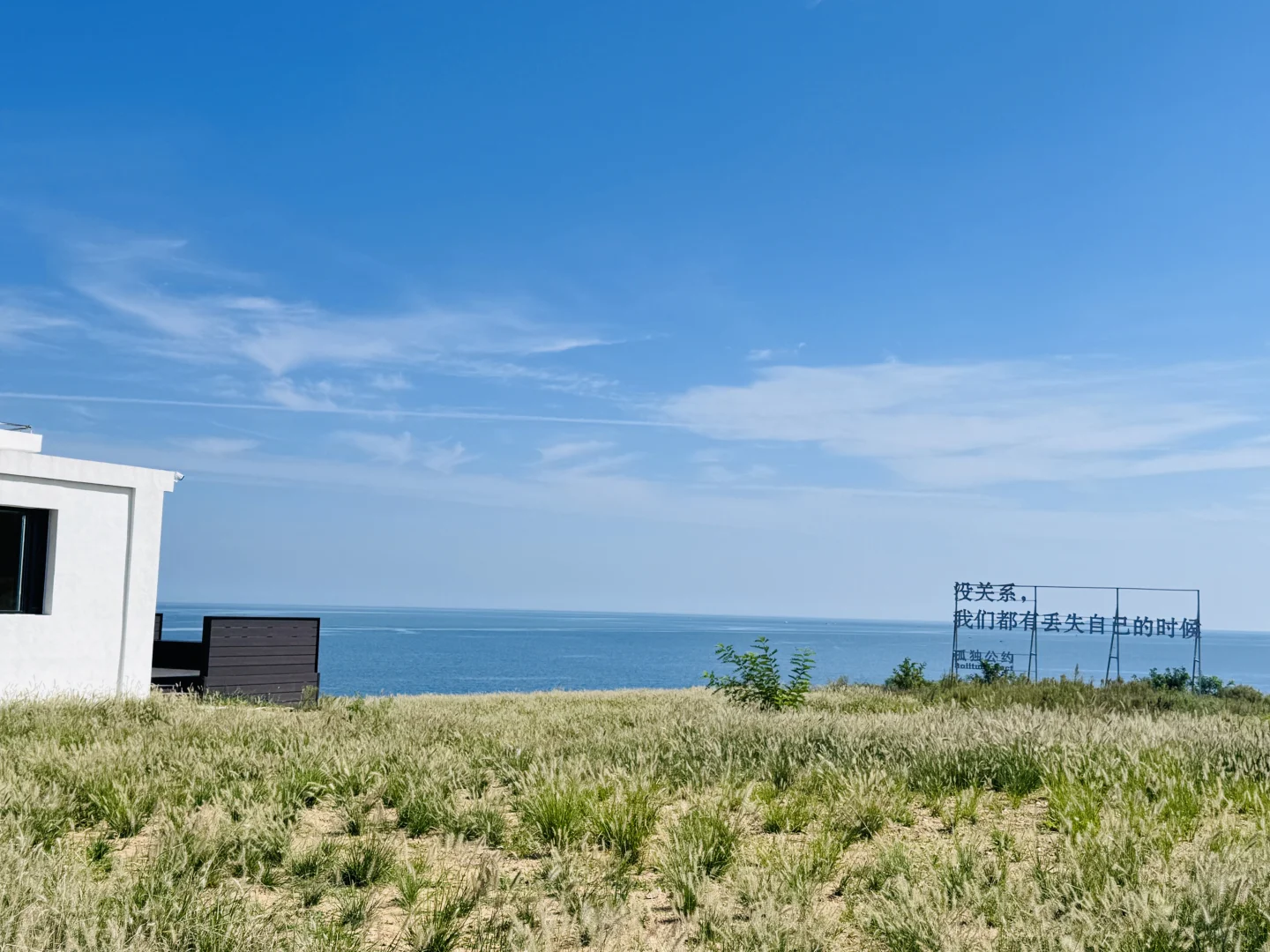 中年少妇的快乐约会