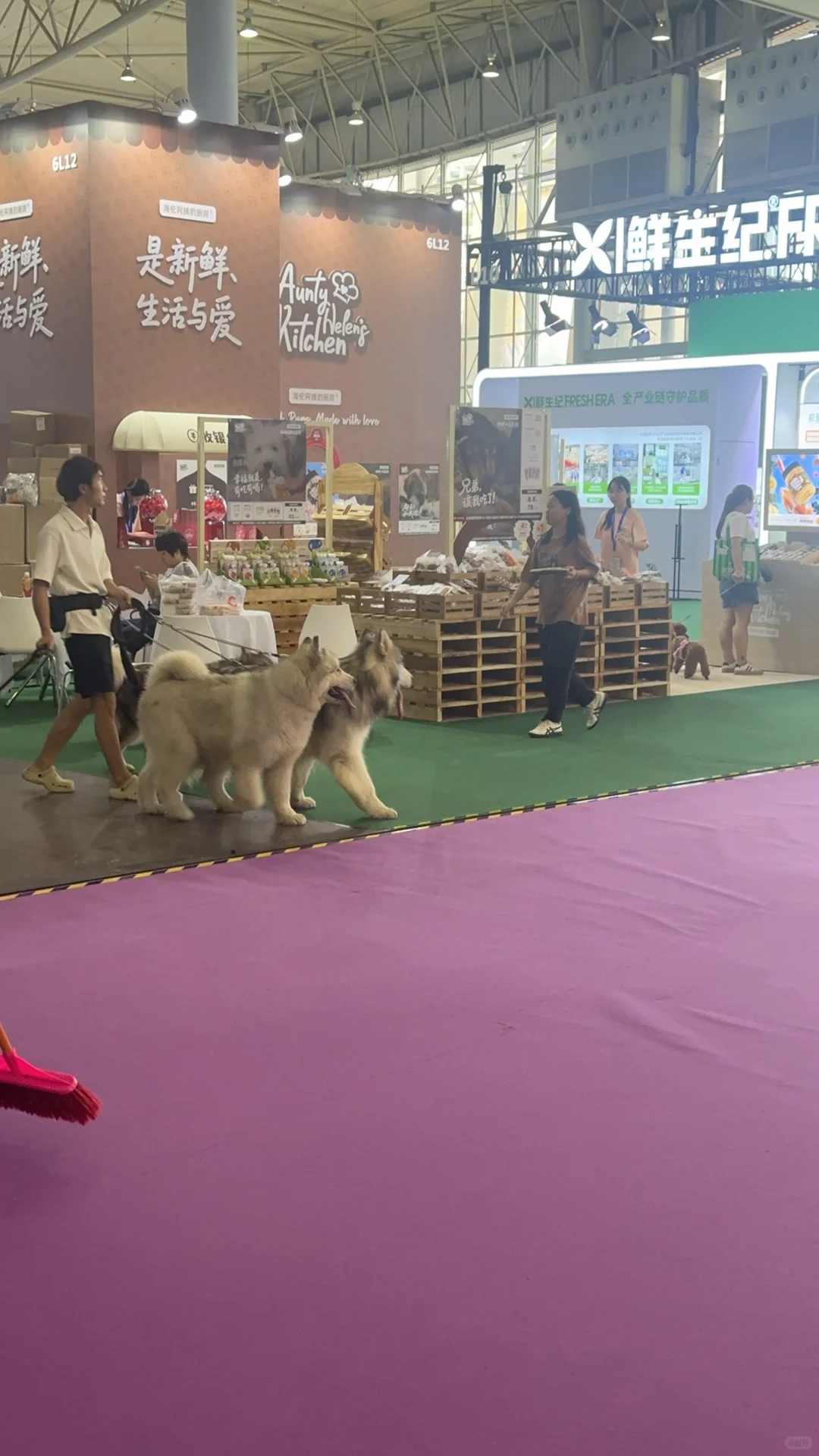 这才是宠物展应该有的样子