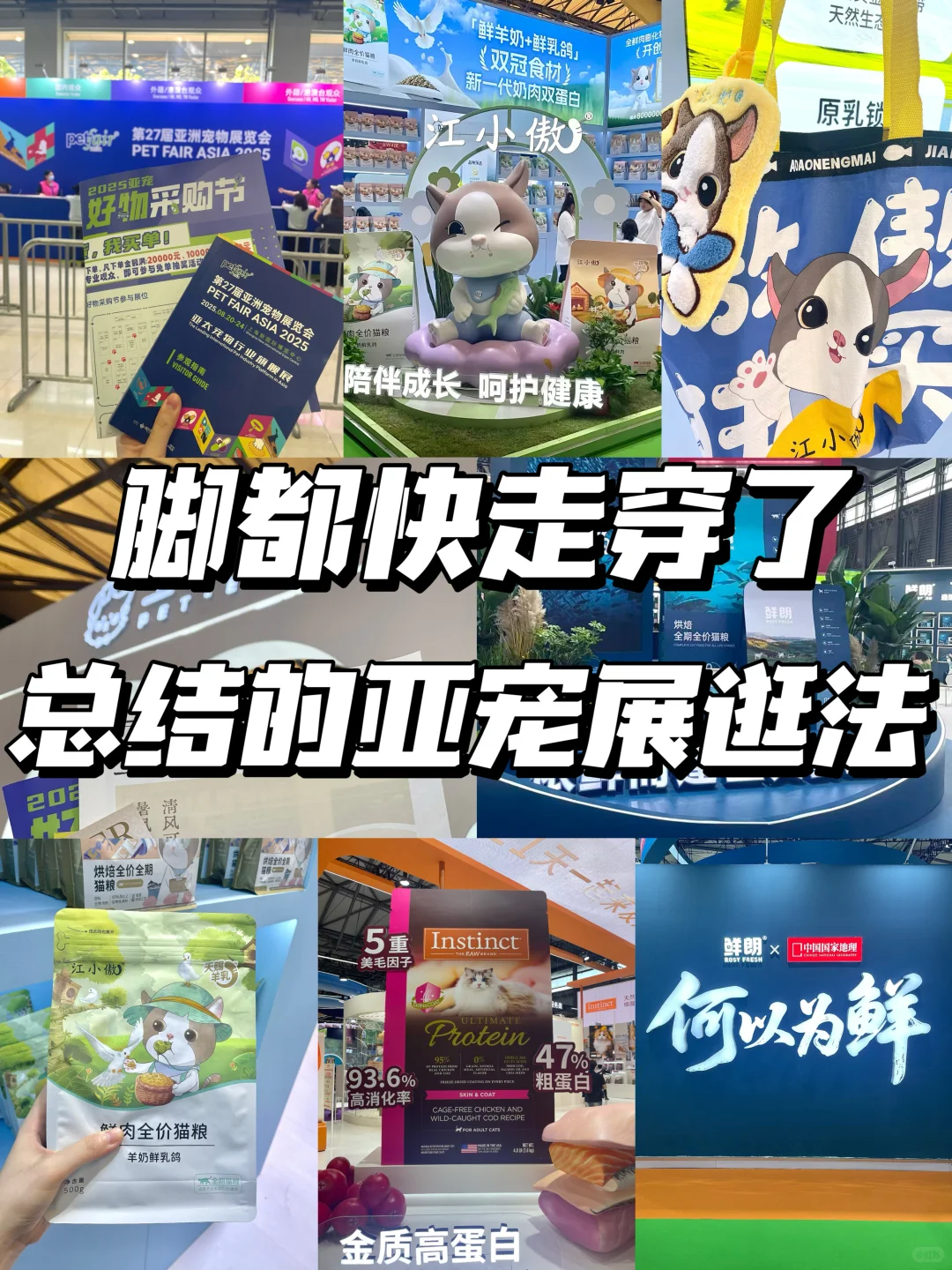 狂走2万步，脚走穿了总结出的亚宠展逛法