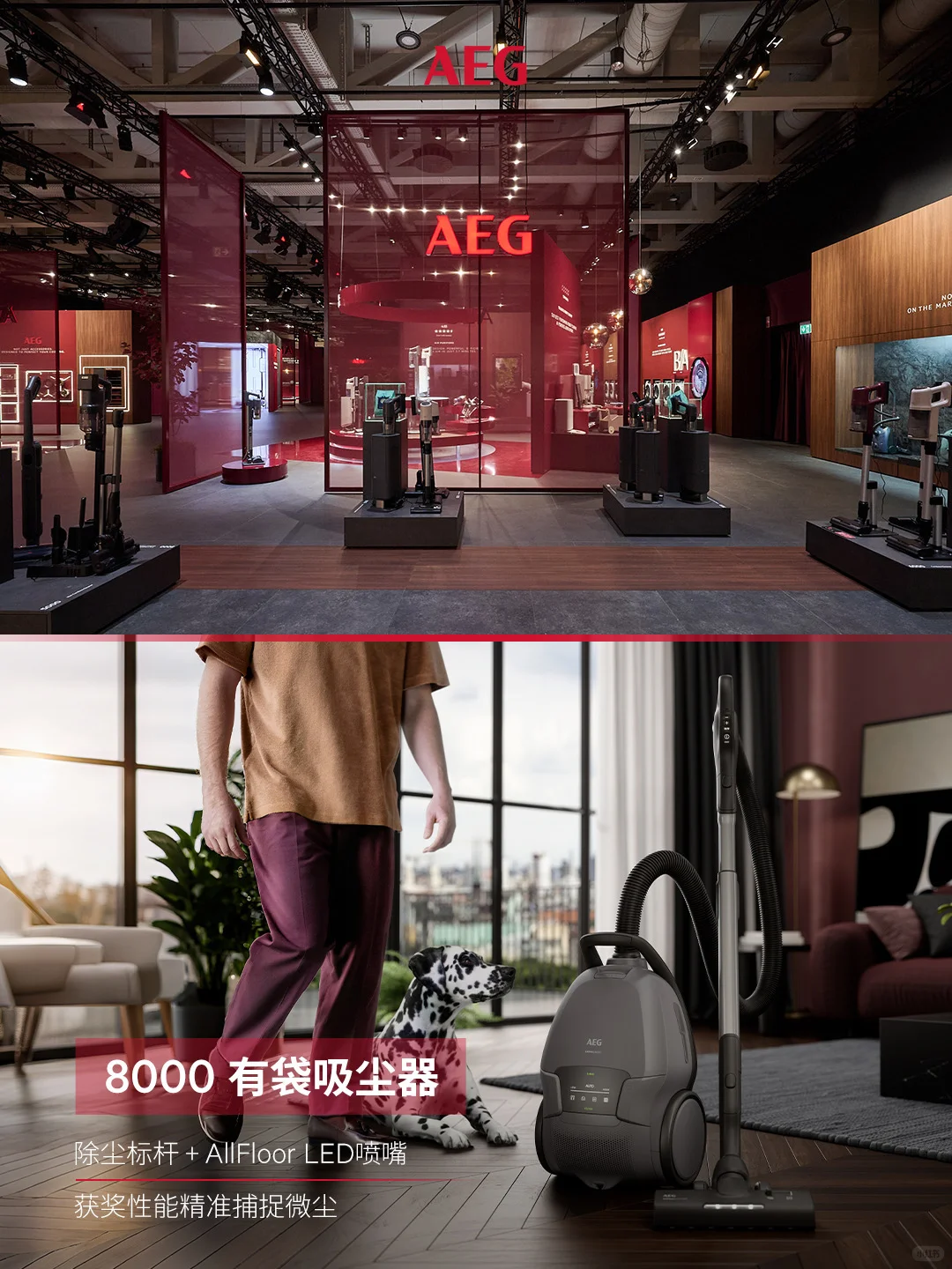 IFA 2025｜AEG智慧「净」界 预判生活之美