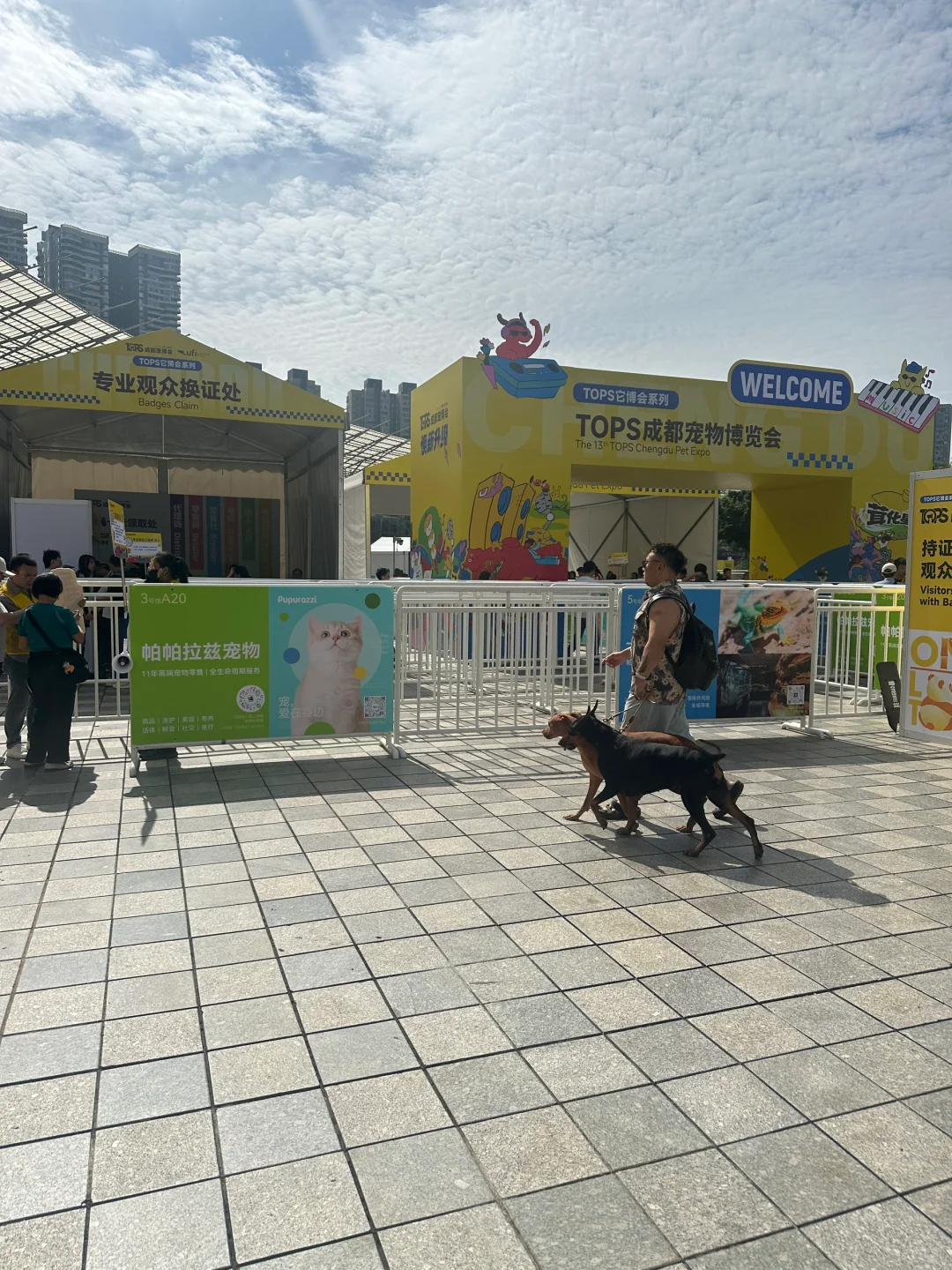 这才是宠物展应该有的样子