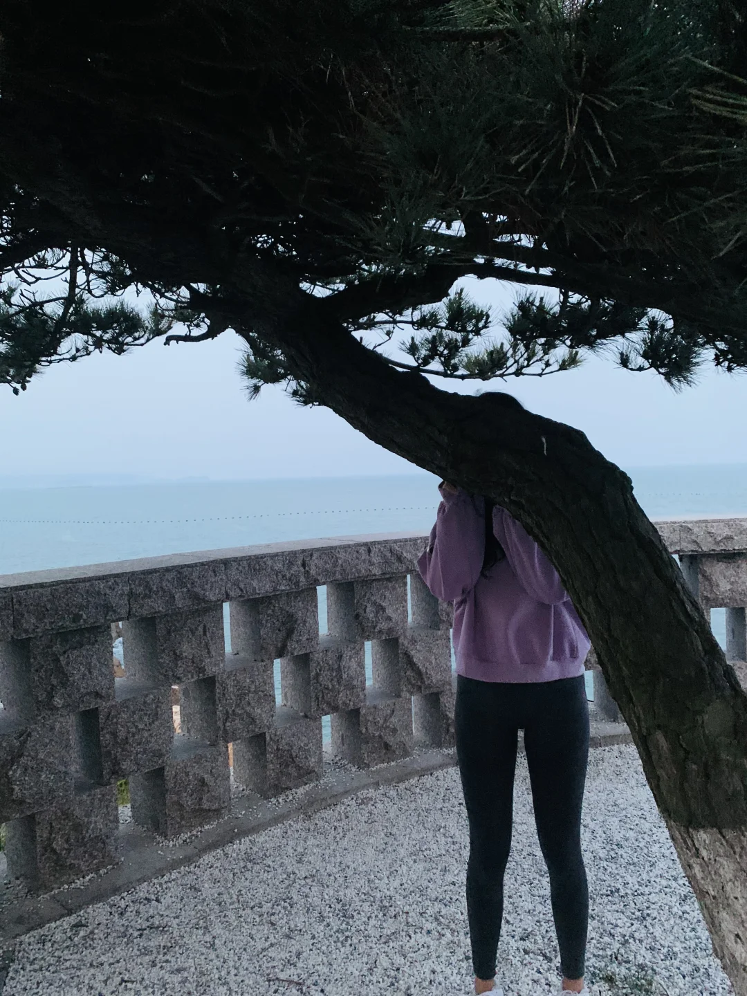 瑜伽裤➕运动鞋、太好穿了！