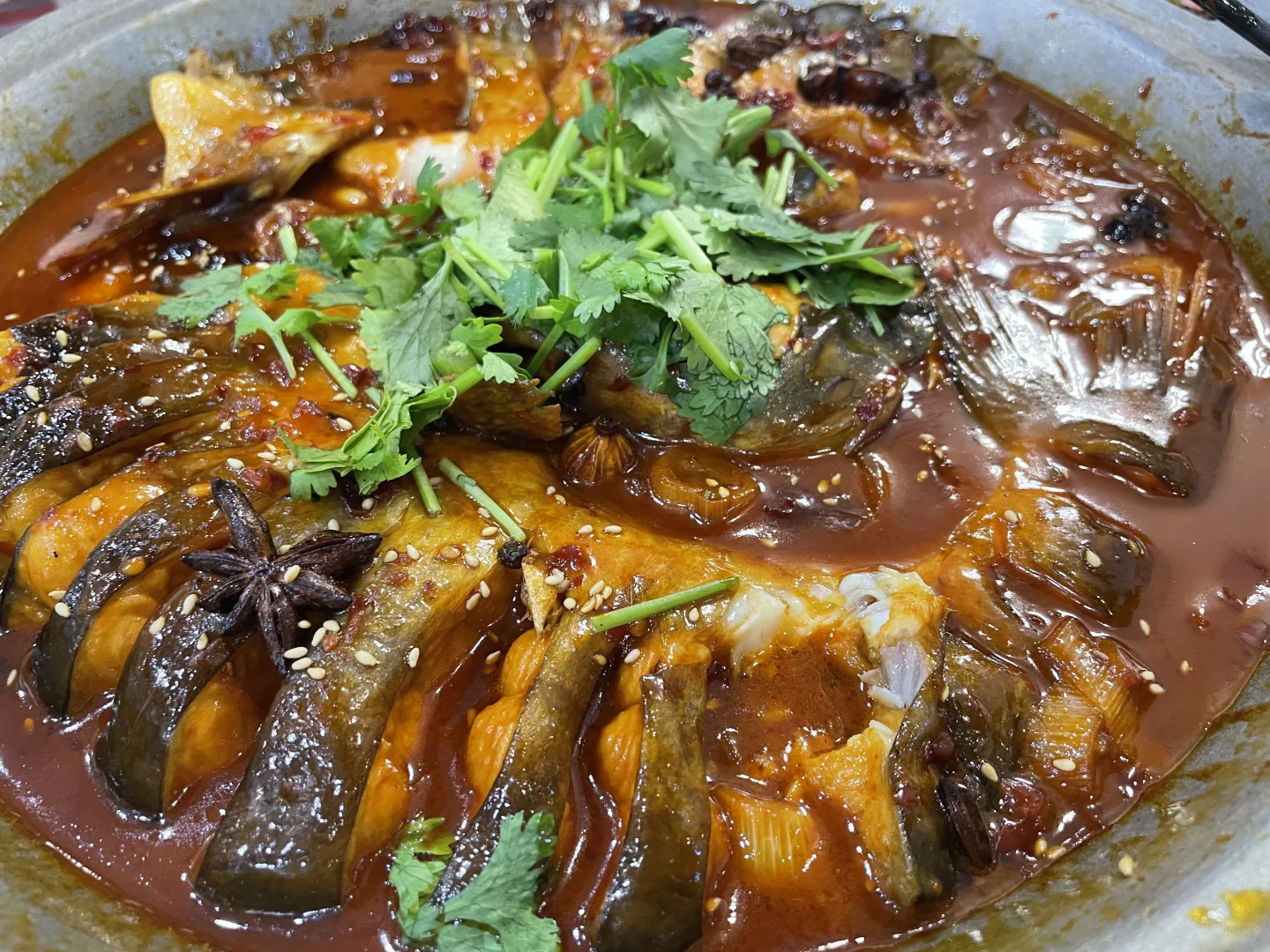 这家平锅鱼第五次吃了！！只要36?