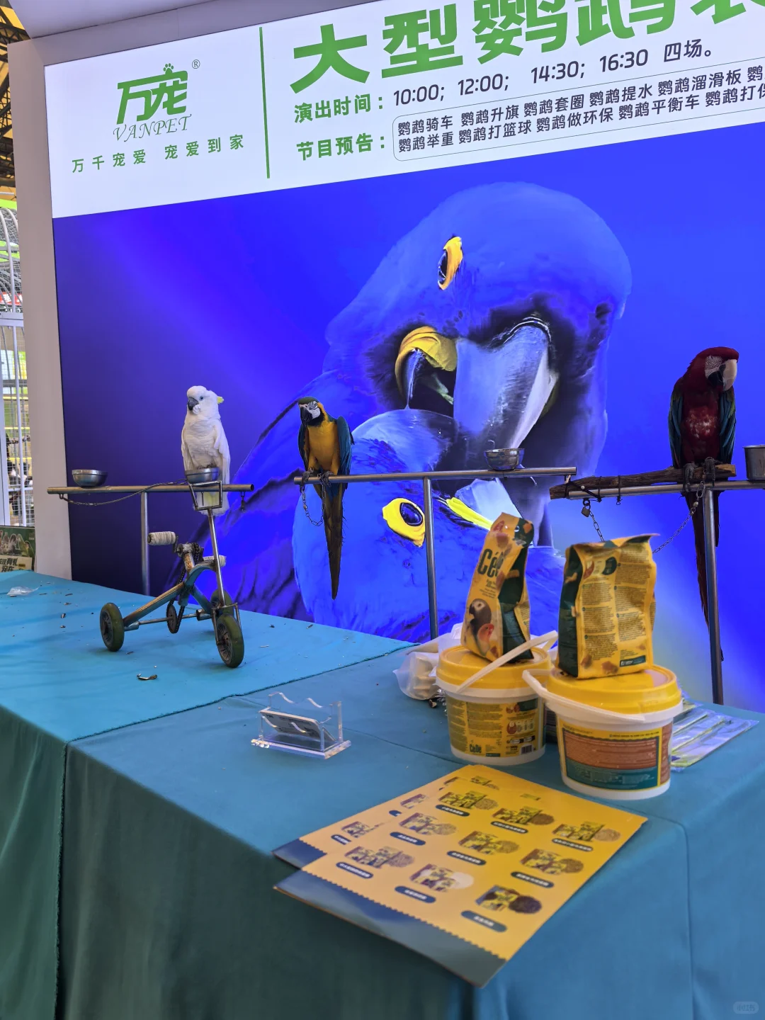 亚宠展8.22普通观众