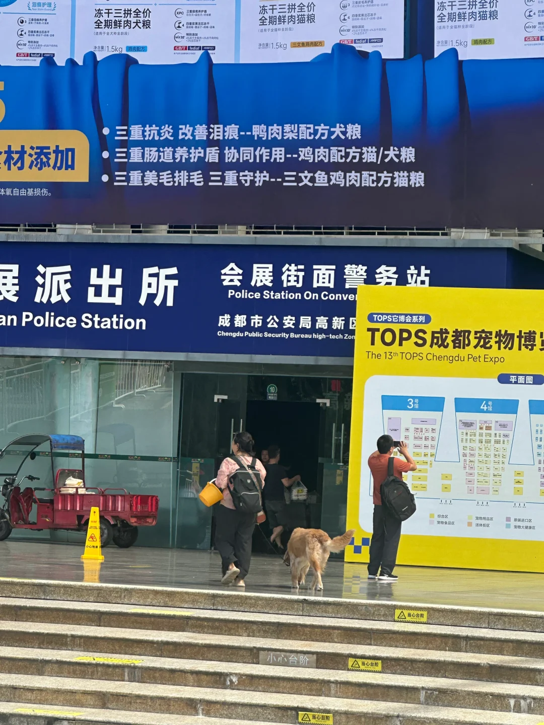 这才是宠物展应该有的样子