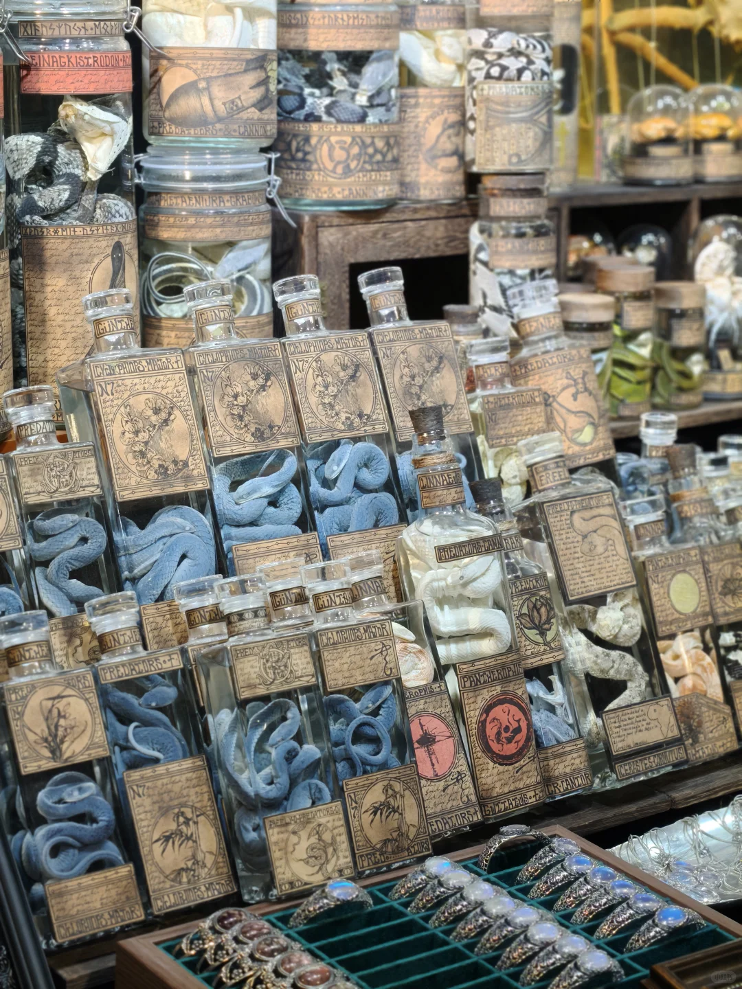 最新展会【新桥市集】