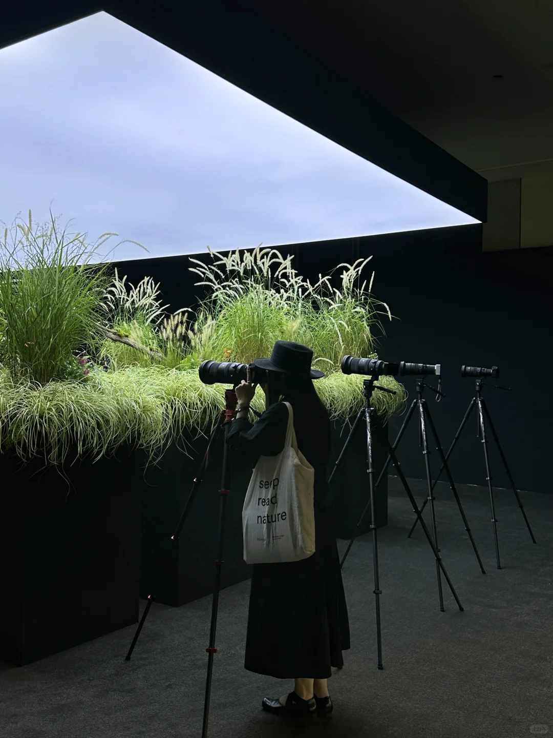 上海近期绝美新展｜Master of Optics ?