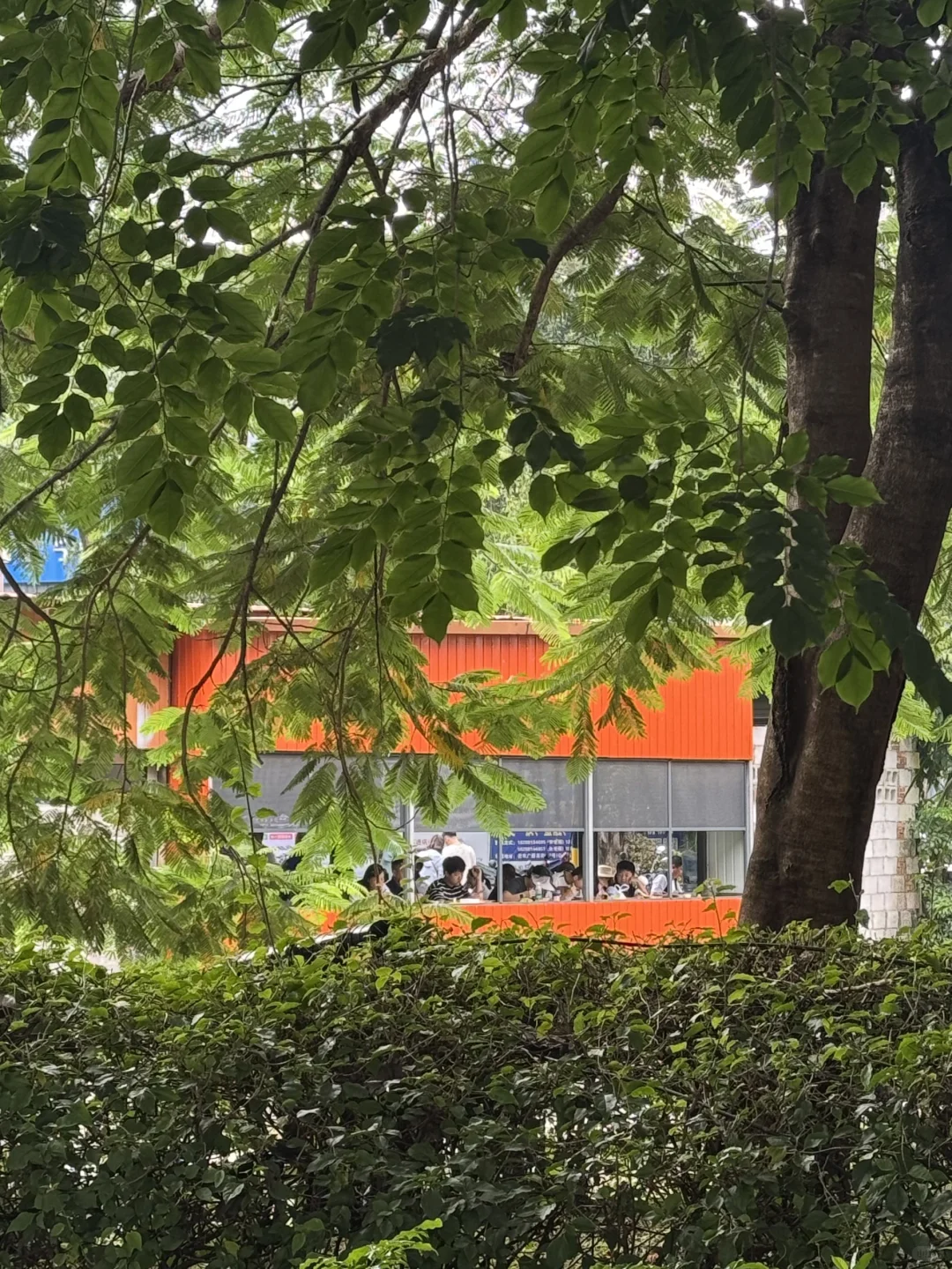 芒市文旅你要不然在媒体上投点钱吧