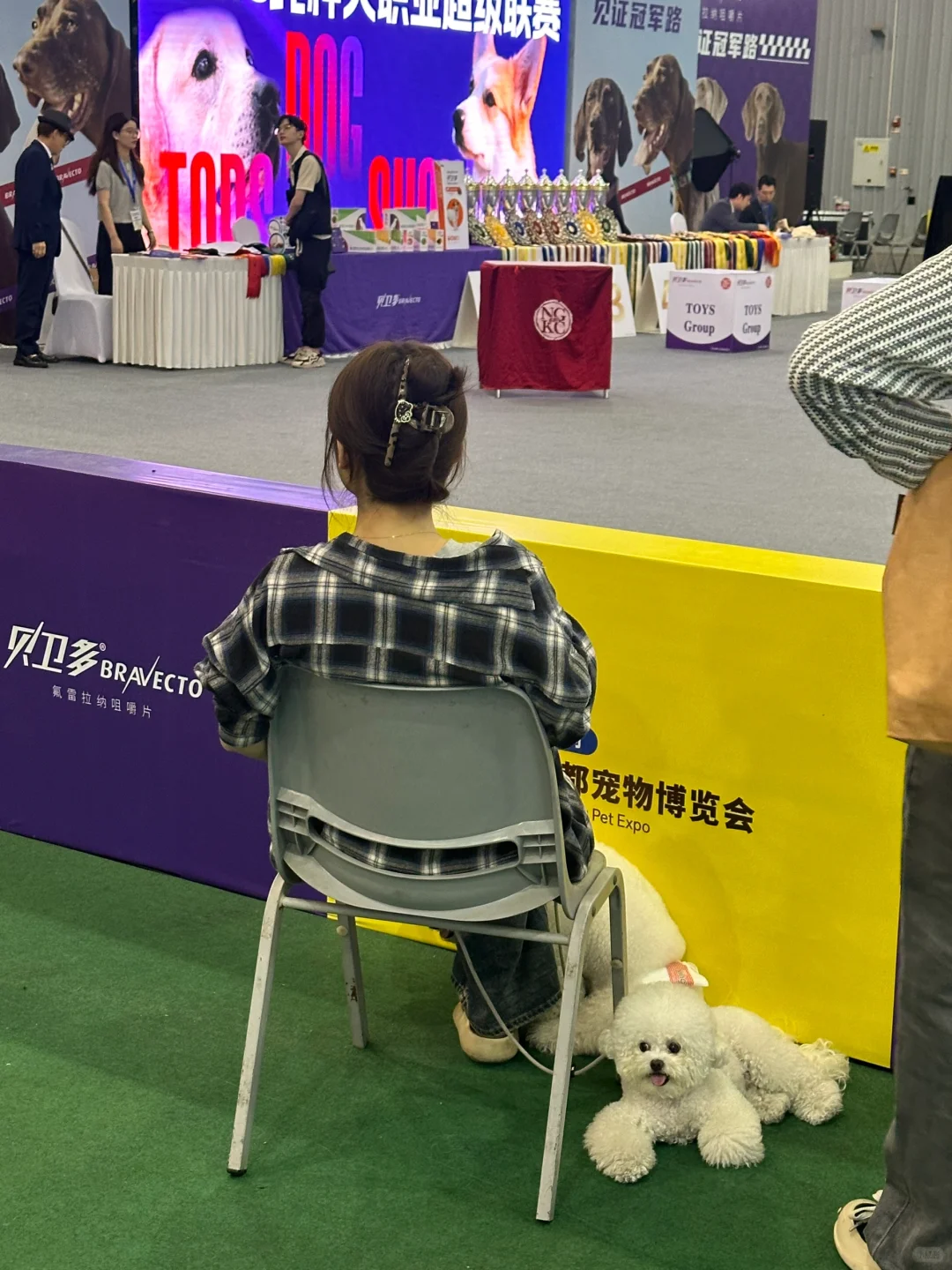 这才是宠物展应该有的样子