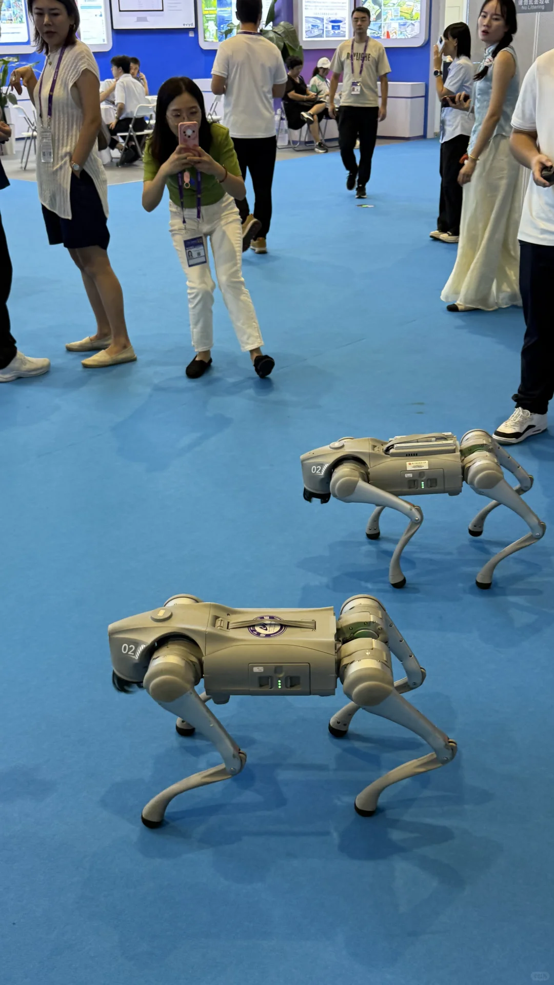 第一次参加东盟博览会