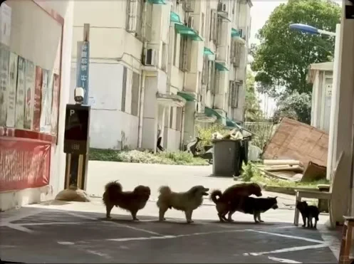 有色金属投资参照指标——干货分享