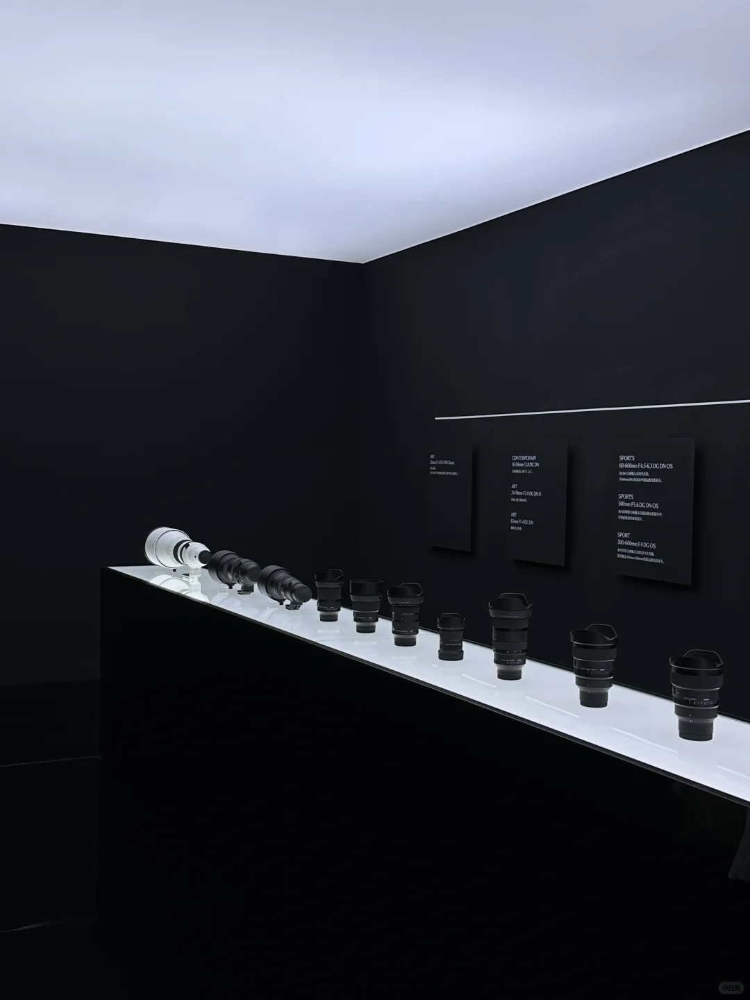 上海近期绝美新展｜Master of Optics ?