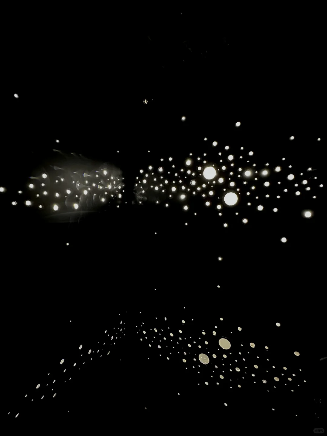 上海近期绝美新展｜Master of Optics ?