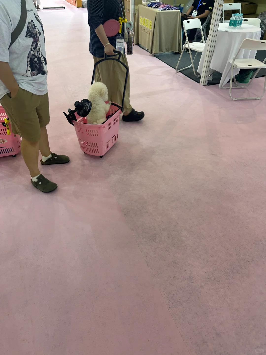 这才是宠物展应该有的样子