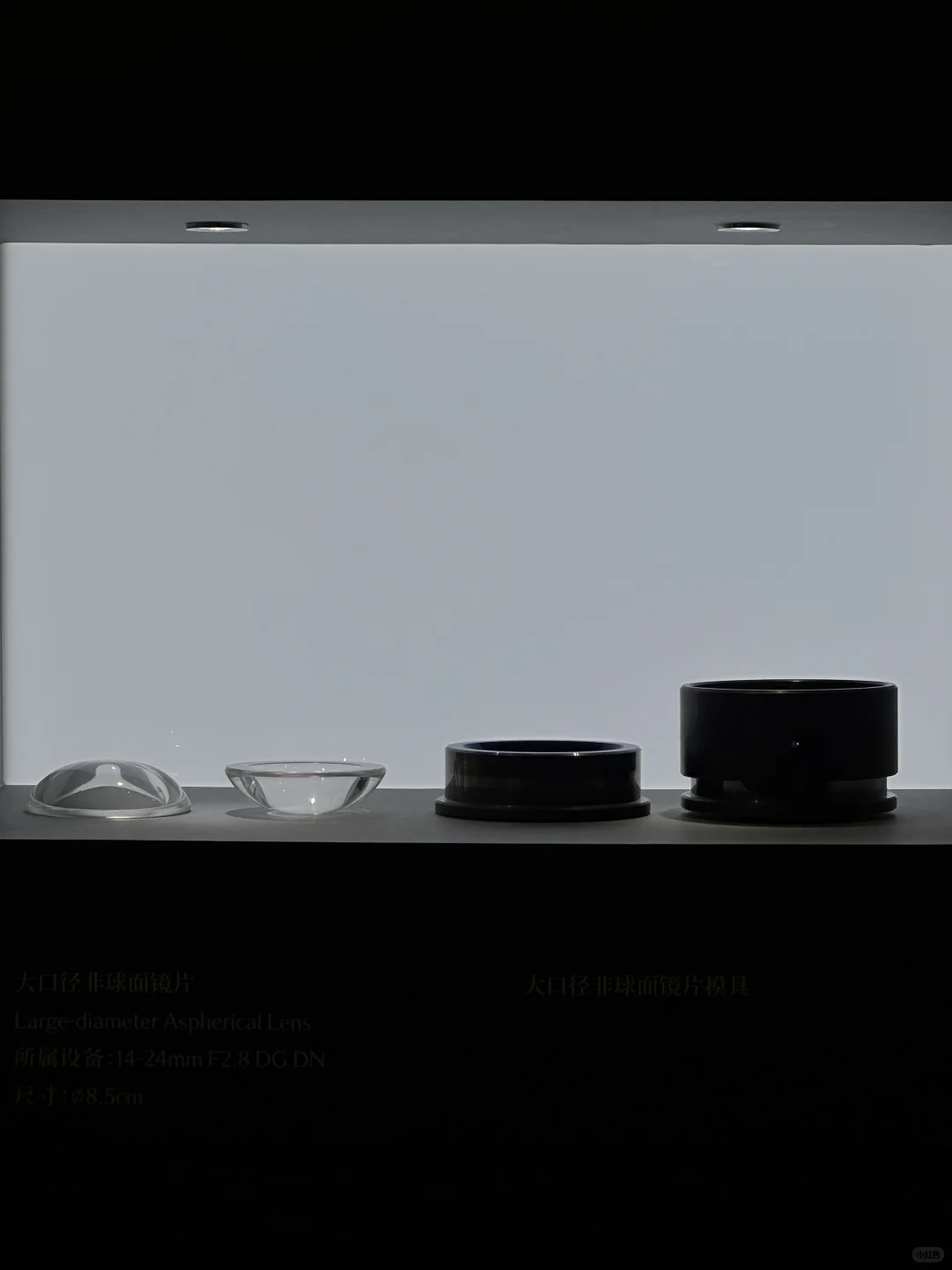 上海近期绝美新展｜Master of Optics ?