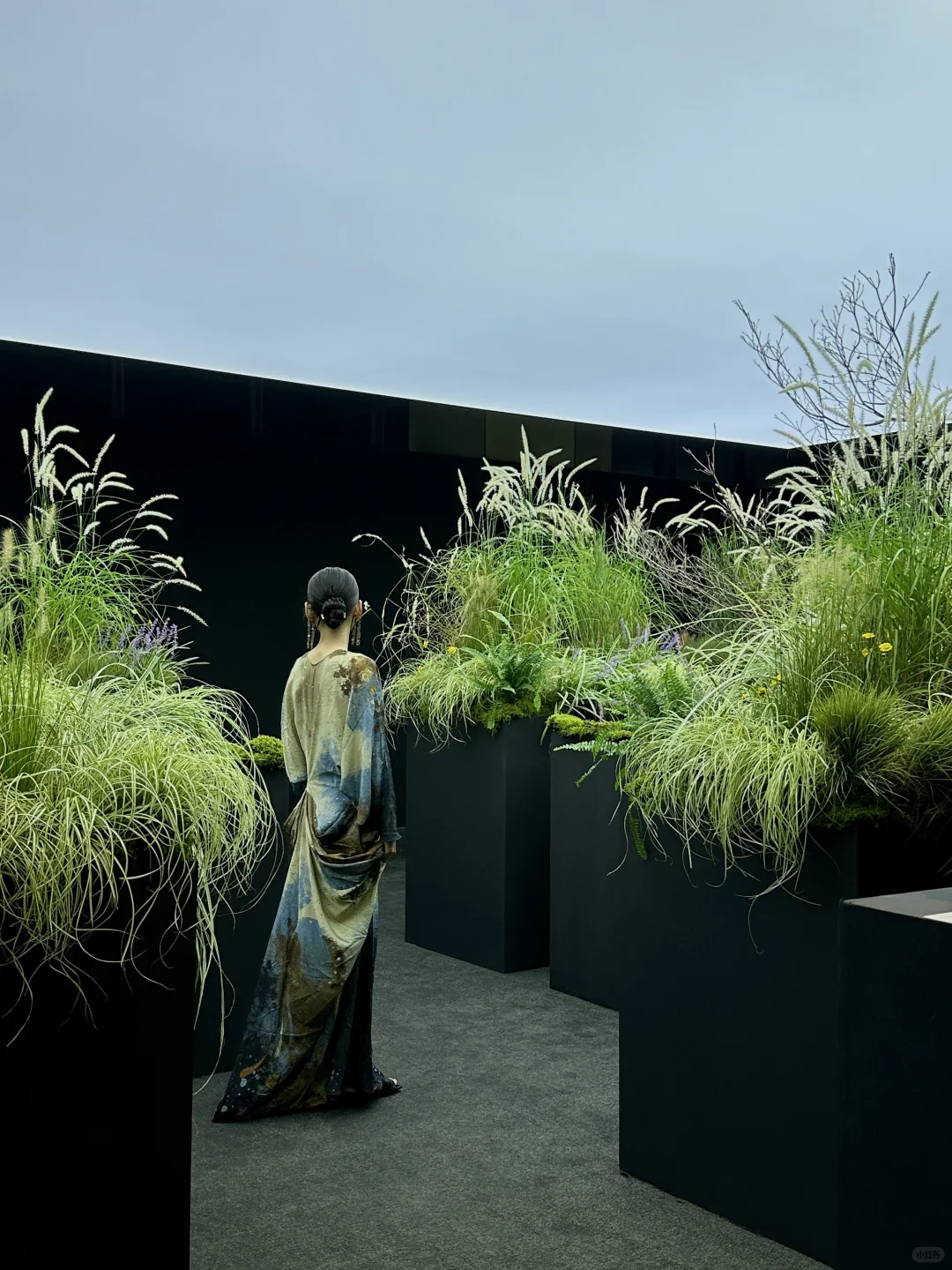 上海近期绝美新展｜Master of Optics ?