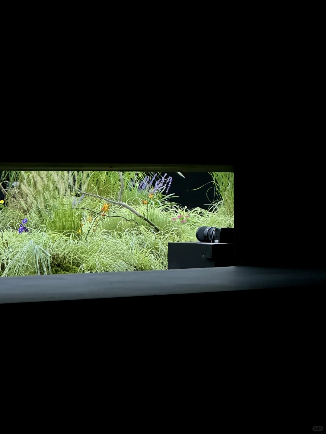 上海近期绝美新展｜Master of Optics ?