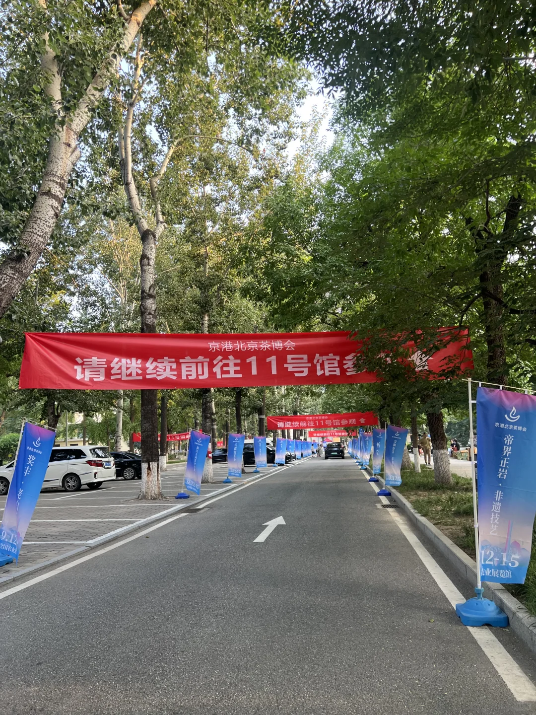 2025北京茶博会，去啦！