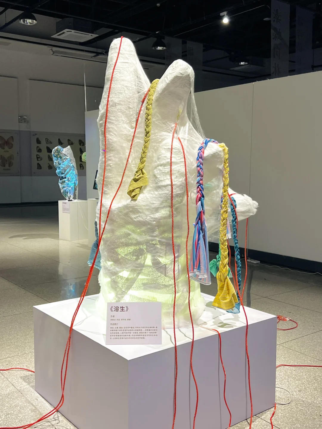 武汉新展！蓝色蝴蝶?美哭了！！