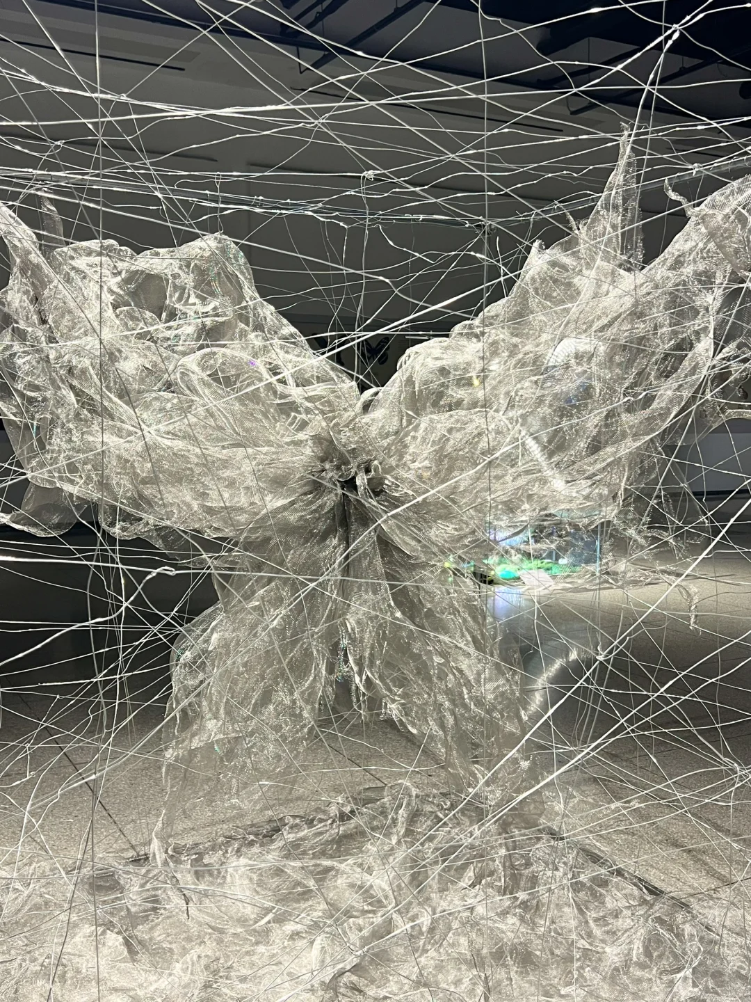 武汉新展！蓝色蝴蝶?美哭了！！