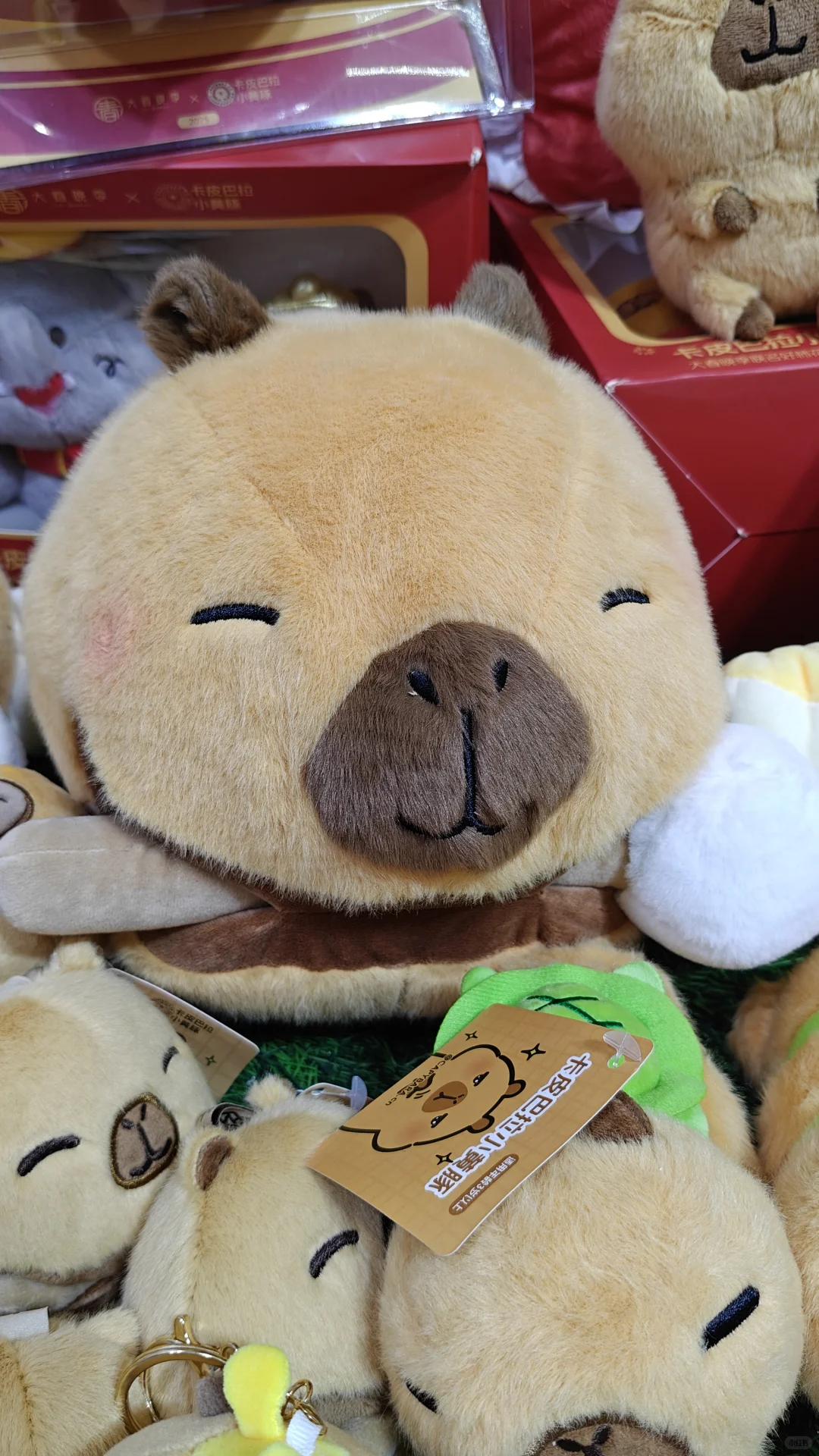 2025中国国际服务贸易交易会