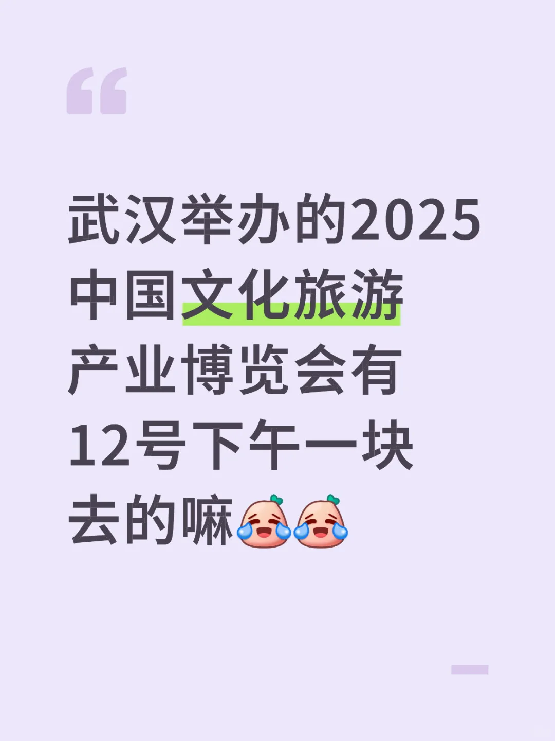 武汉文博会搭子