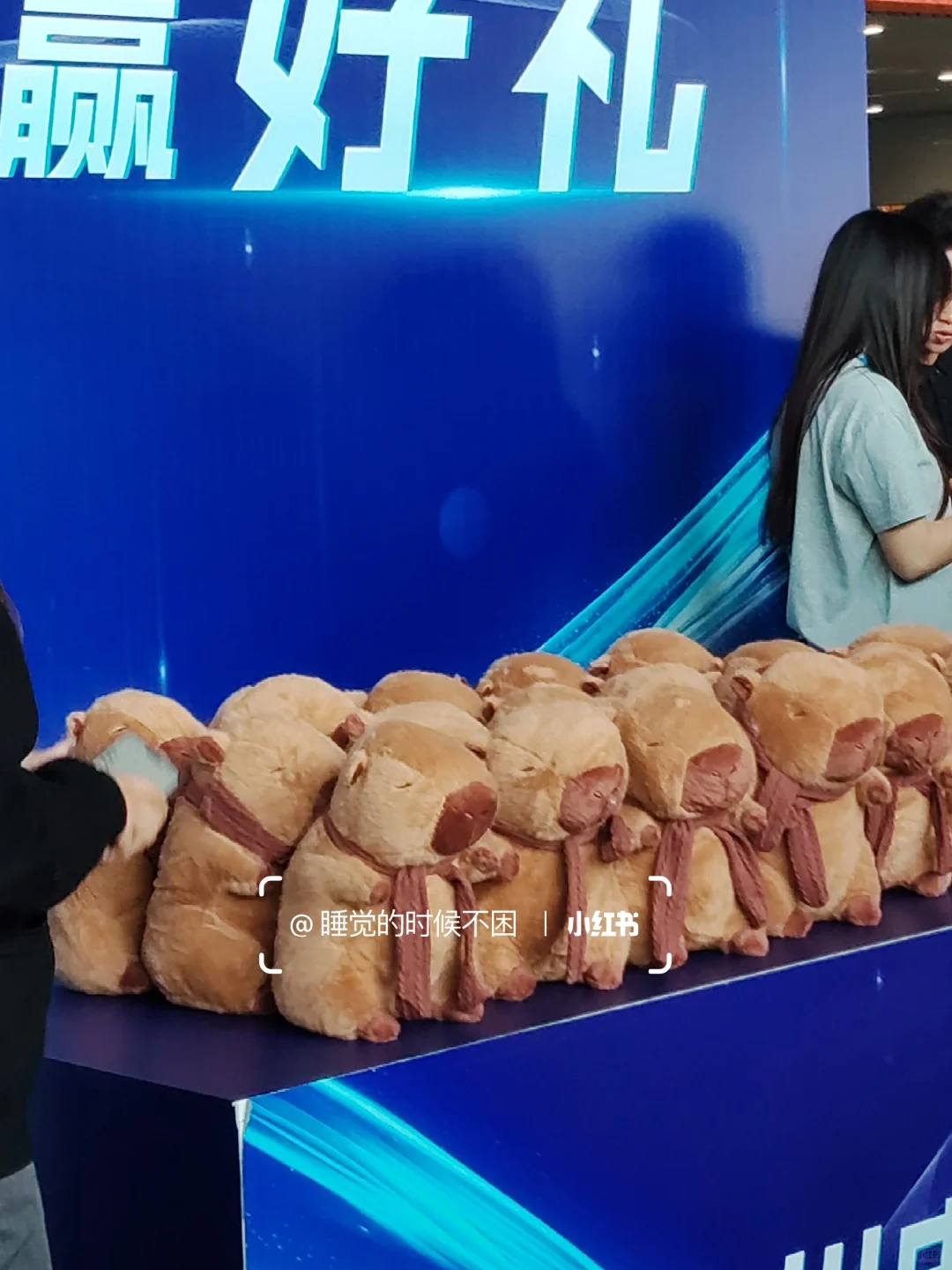 探展数字科技生态大会 【集章羊毛攻略版 】