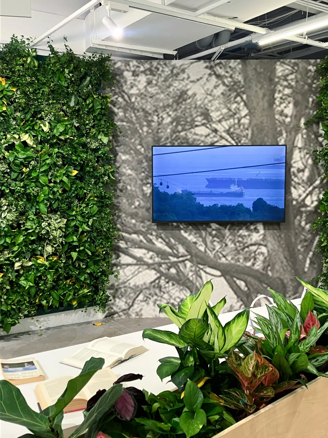 上海看展｜3个新展·画廊也开启邪修模式了?