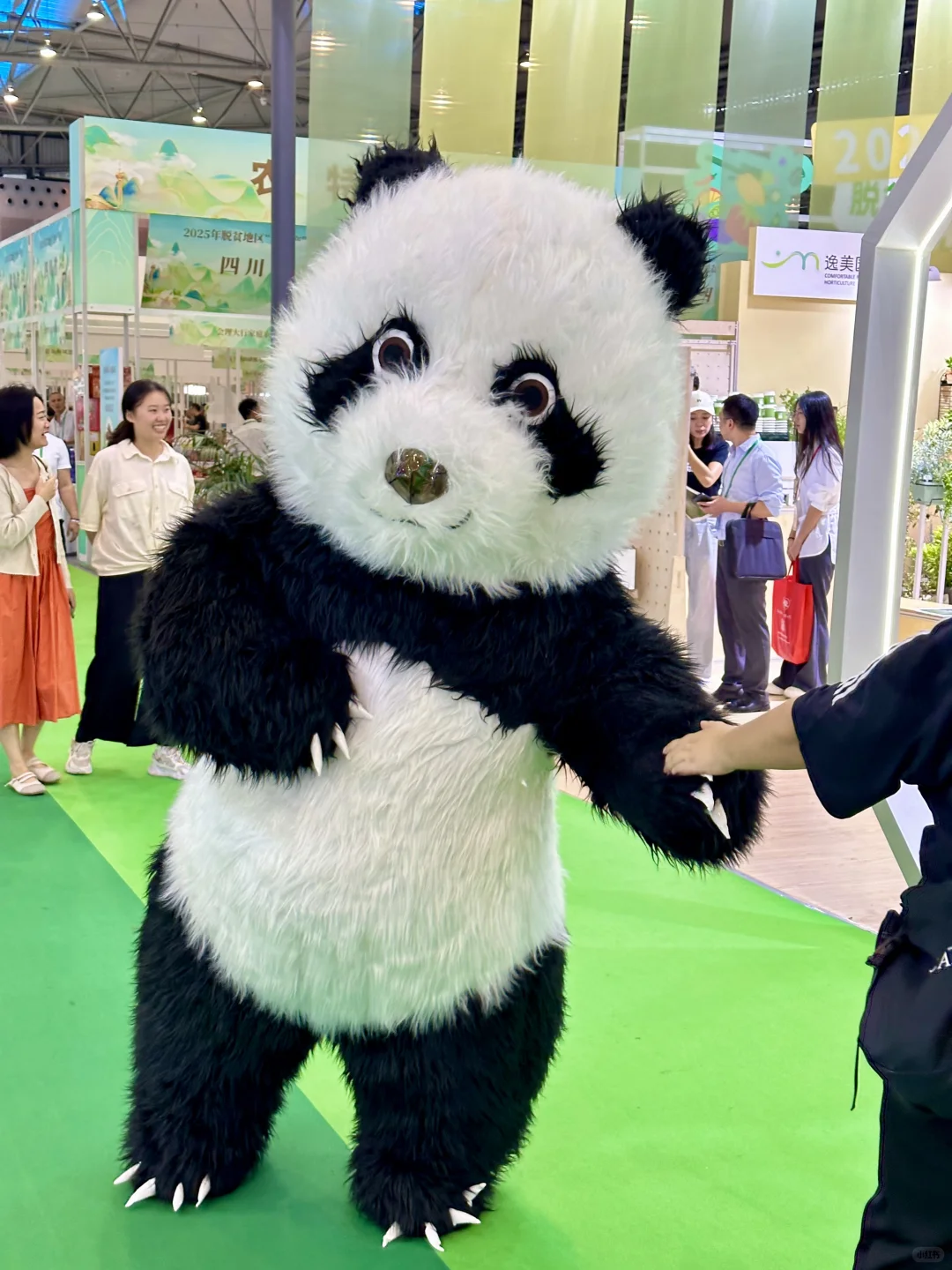 ?眼花缭乱！成都农博会好吃又好逛