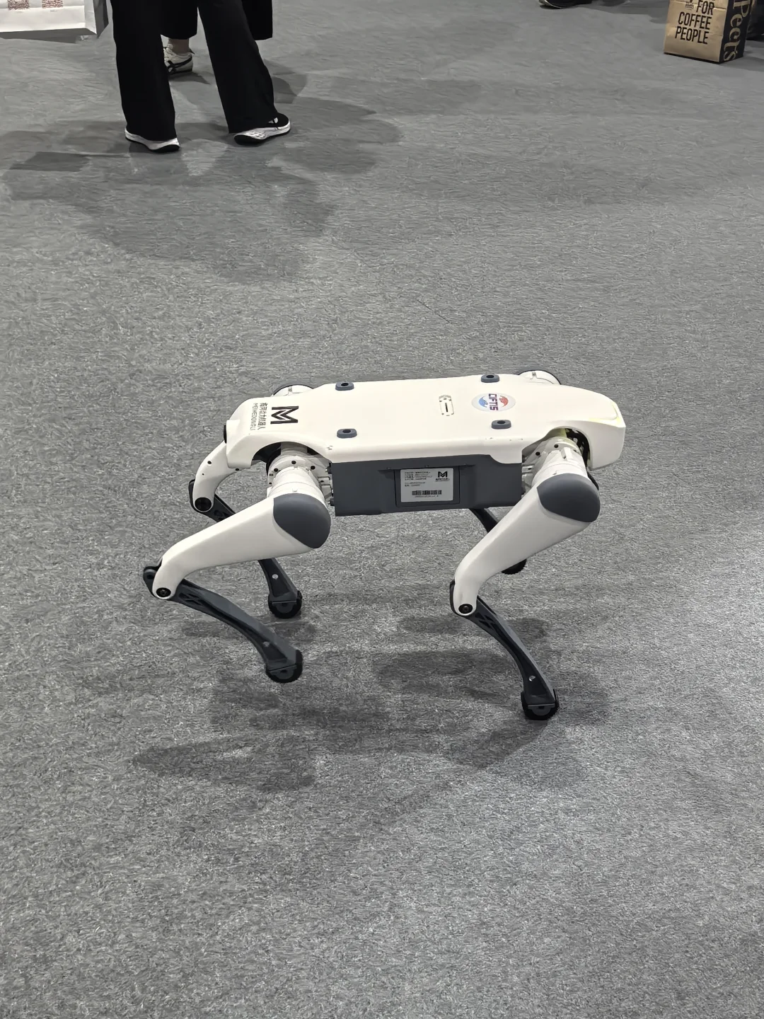 服贸会这些机器人也太可爱了吧！