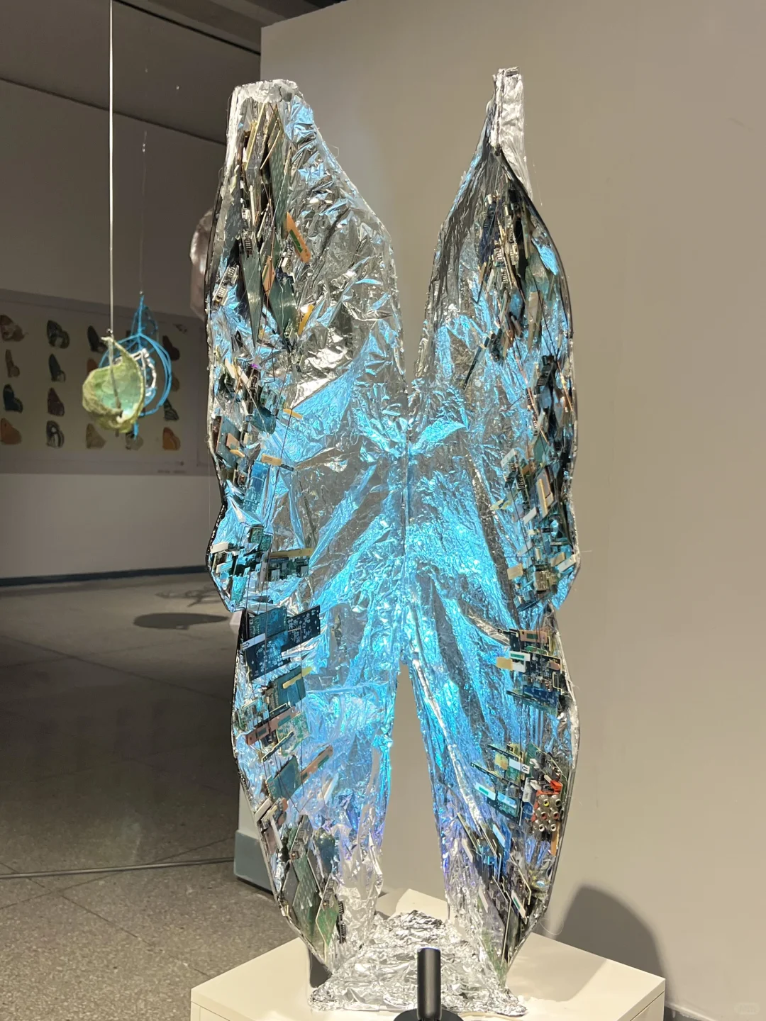 武汉新展！蓝色蝴蝶?美哭了！！