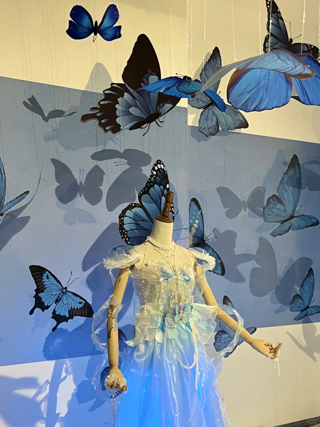 武汉新展！蓝色蝴蝶?美哭了！！