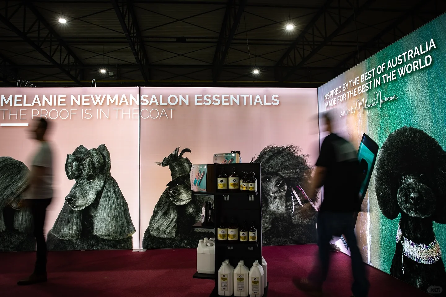 ✨ Melanienewman在比利时Groomania展会 ✨