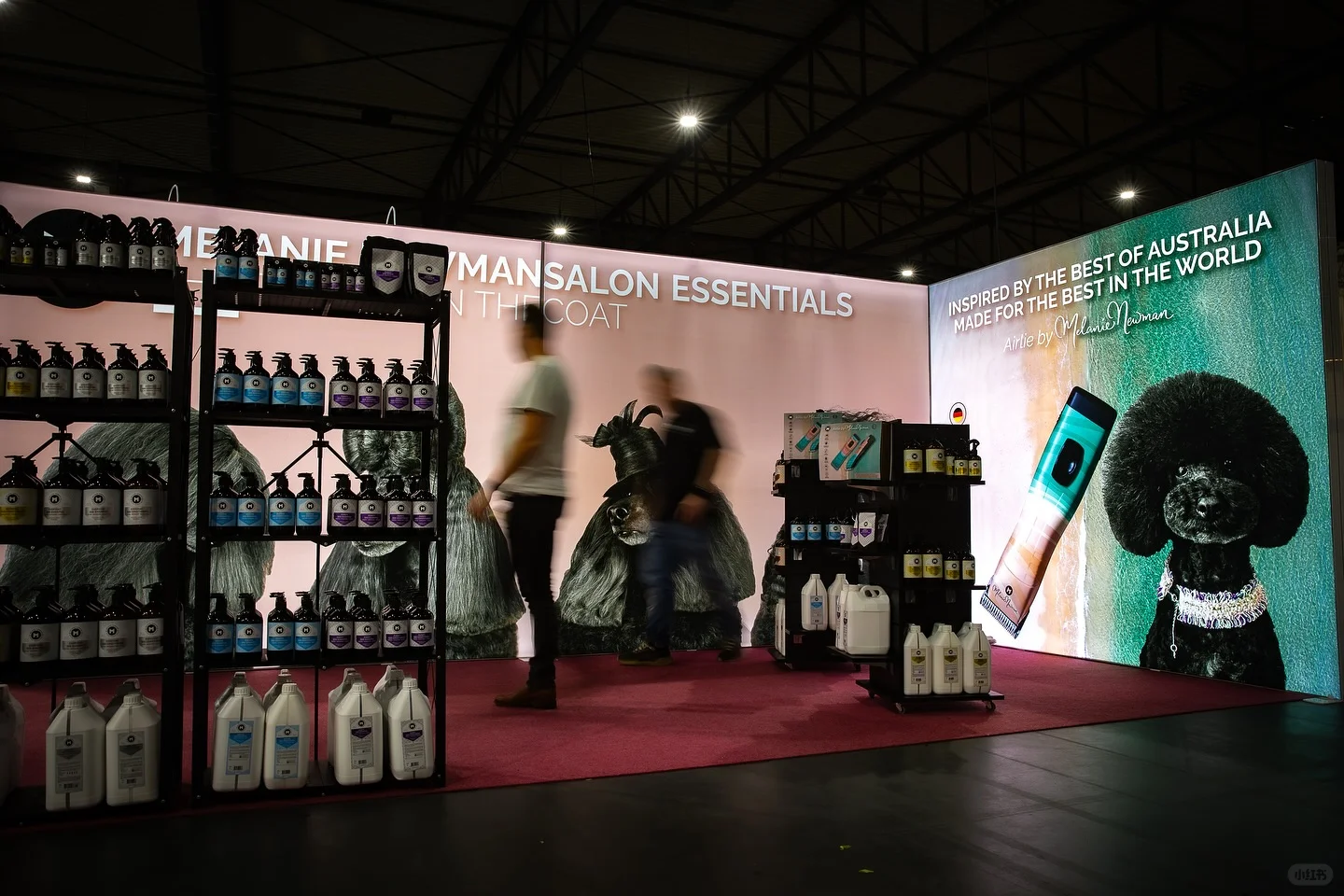 ✨ Melanienewman在比利时Groomania展会 ✨