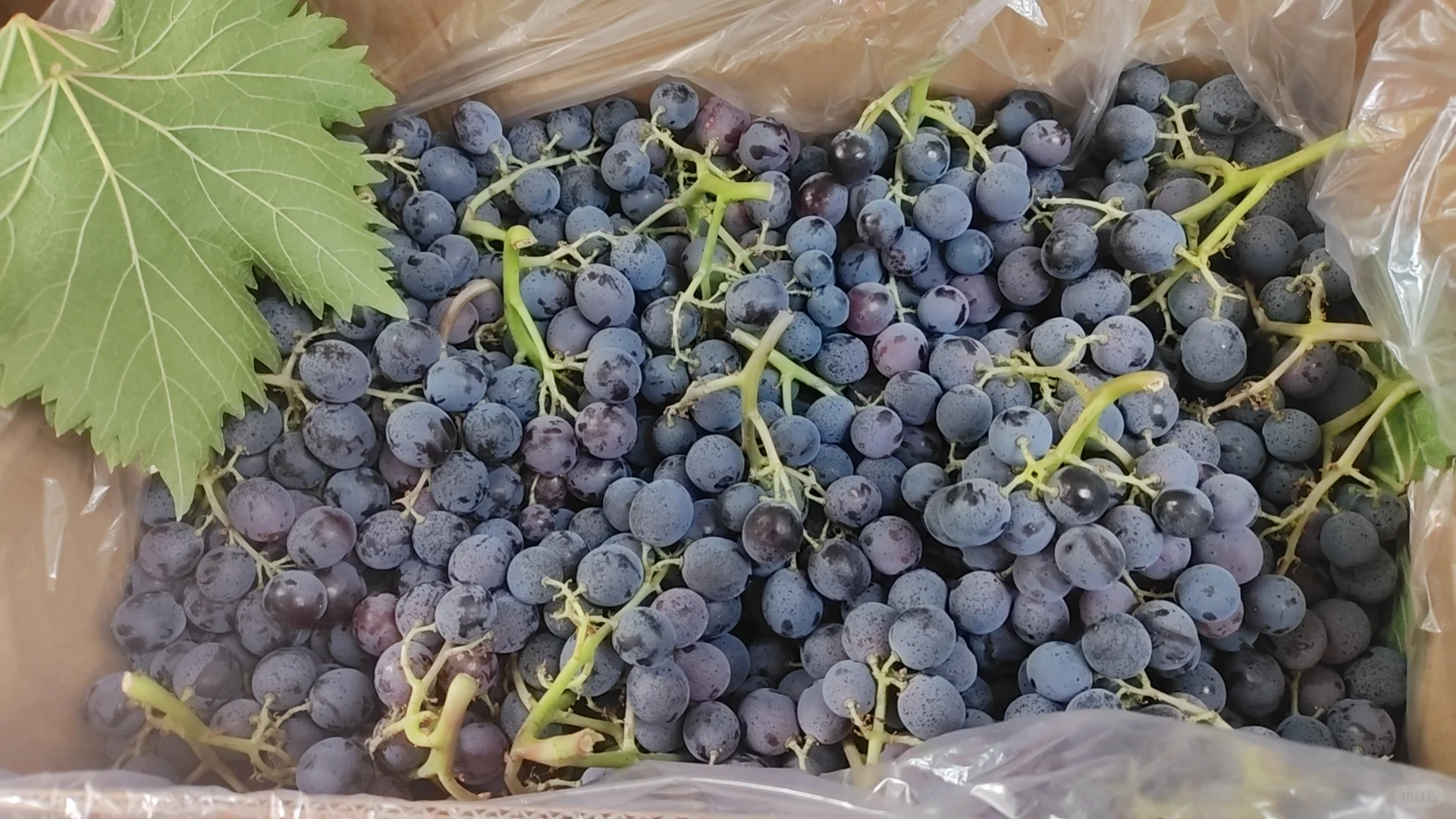 做社区团购一年多的心得（三）