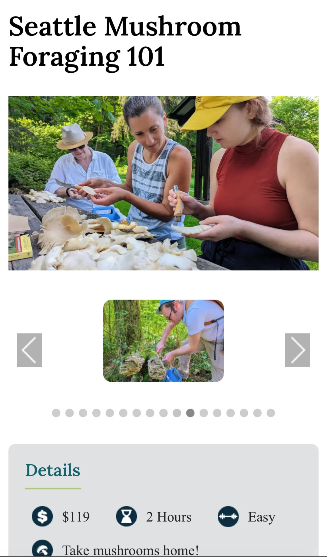 西雅图｜来抢Mushroom Tour啦！