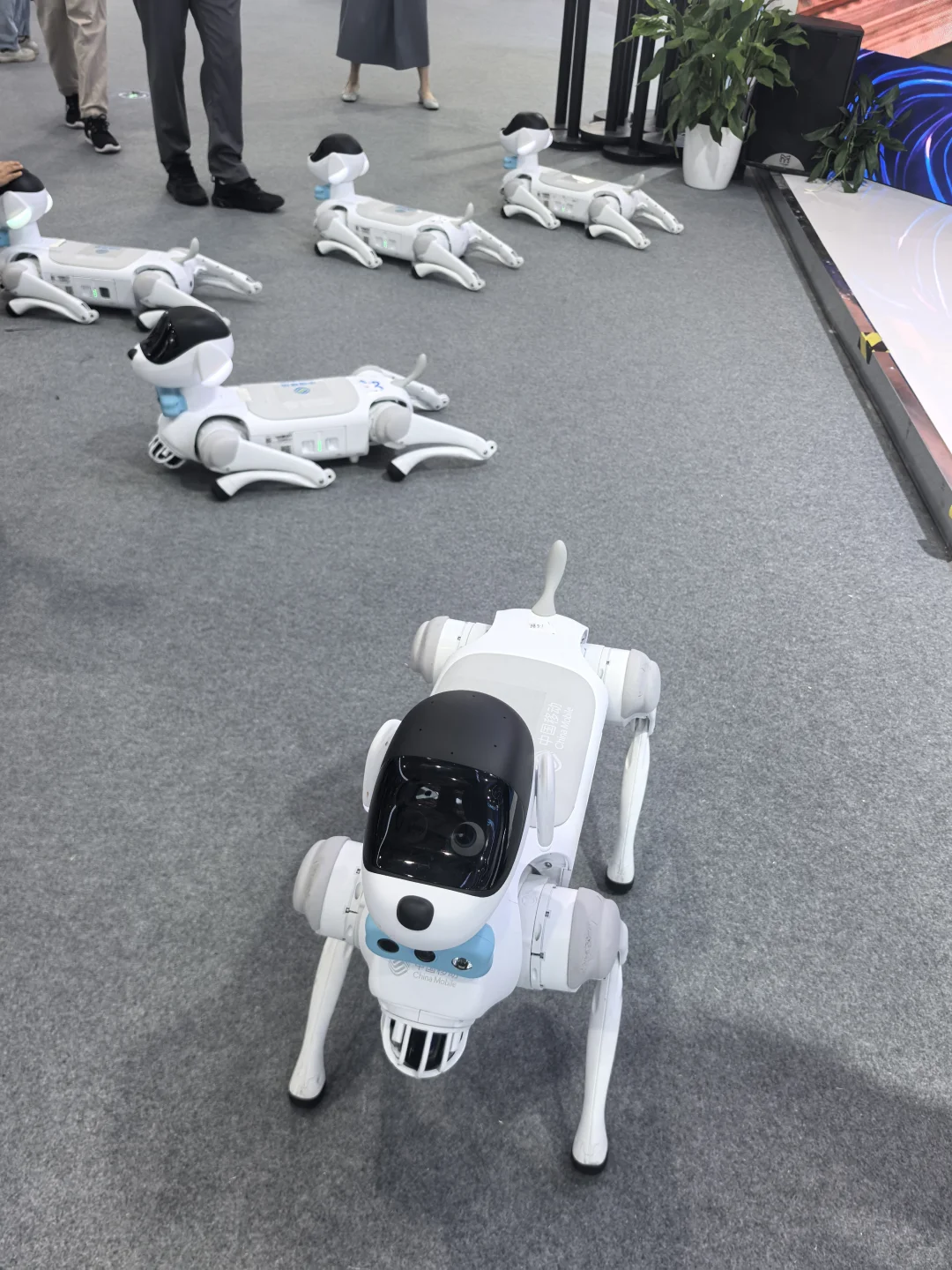 服贸会这些机器人也太可爱了吧！