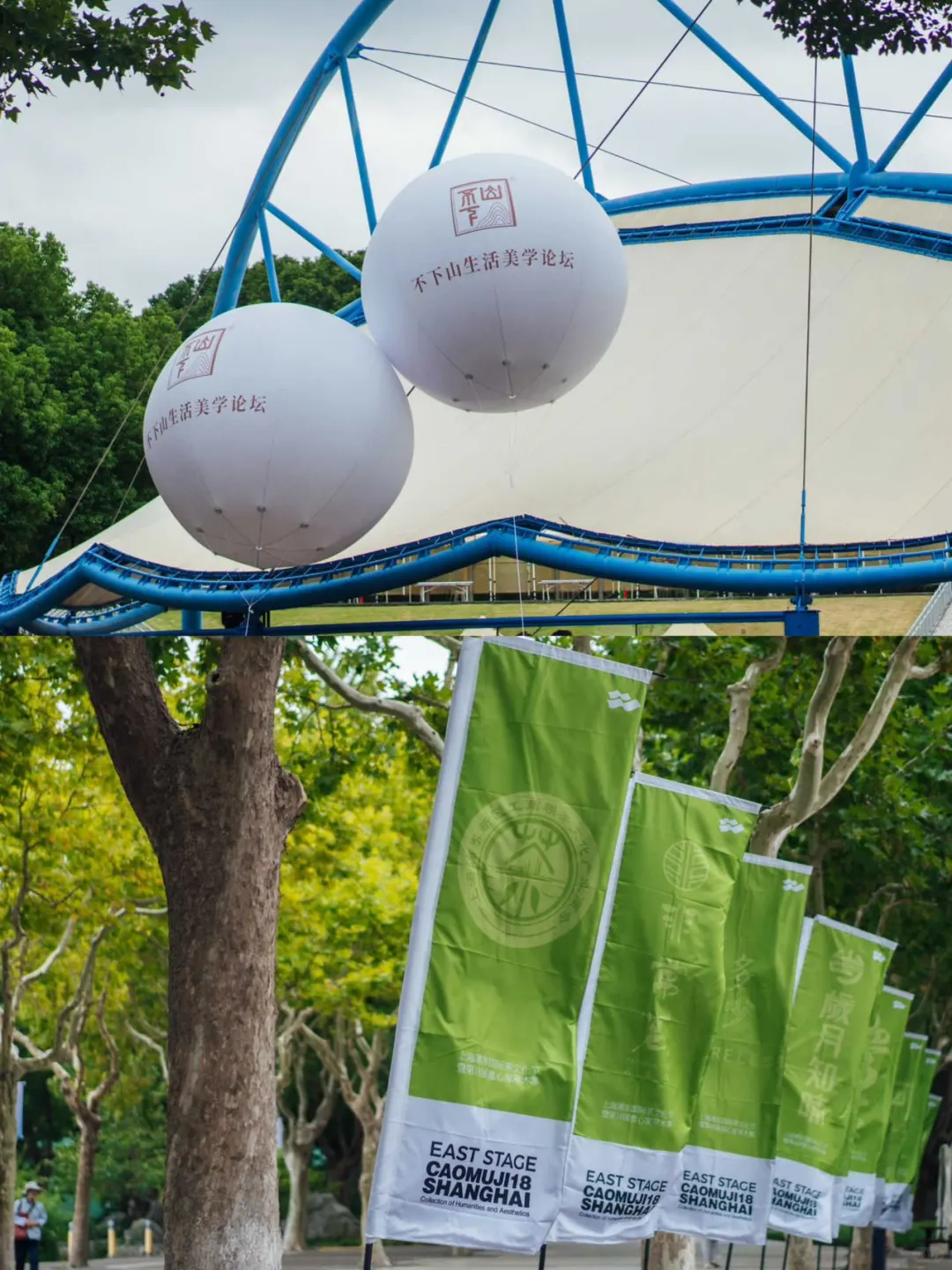 浦东茶文化节｜藏在公园的东方美学秘境?