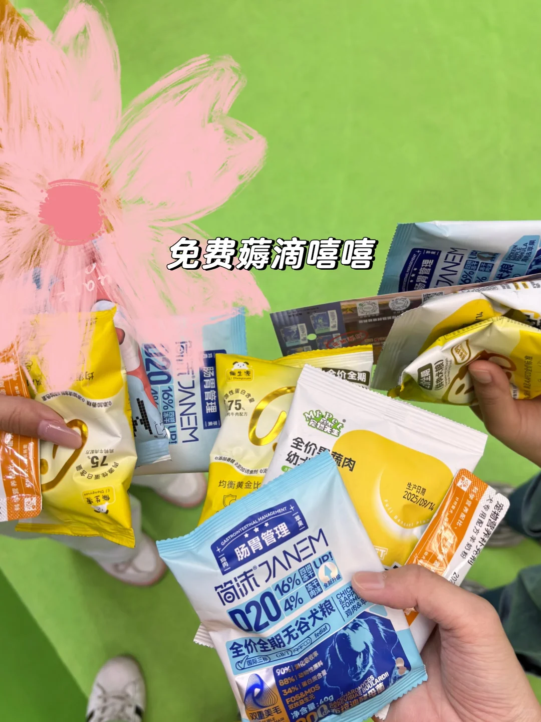 来正定会展中心薅到了宠物零食滴羊毛哈哈