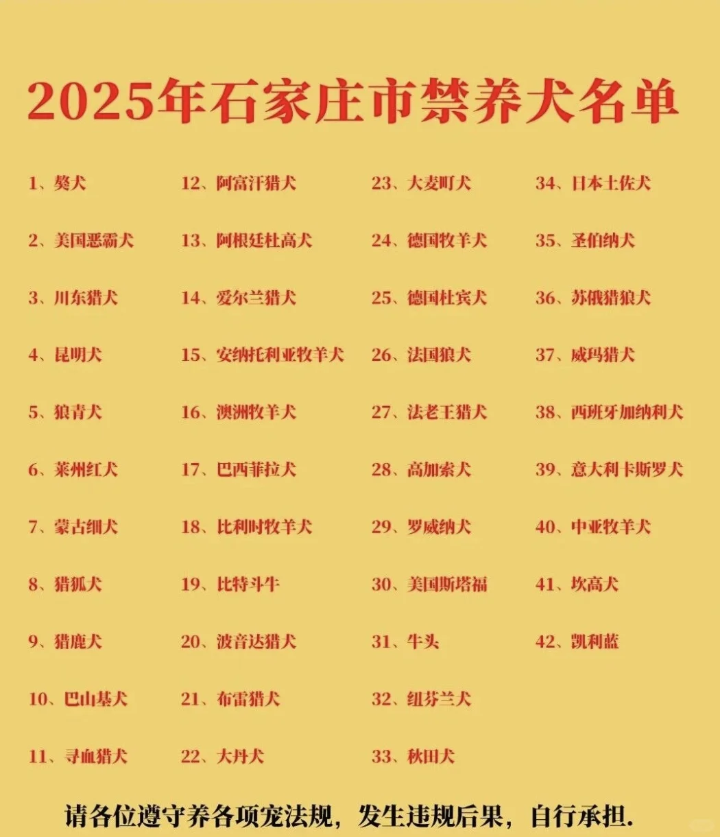 石家庄宠物家长有福啦??