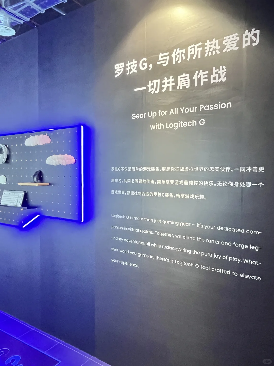 ❗️罗技发布会线下活动速通全攻略