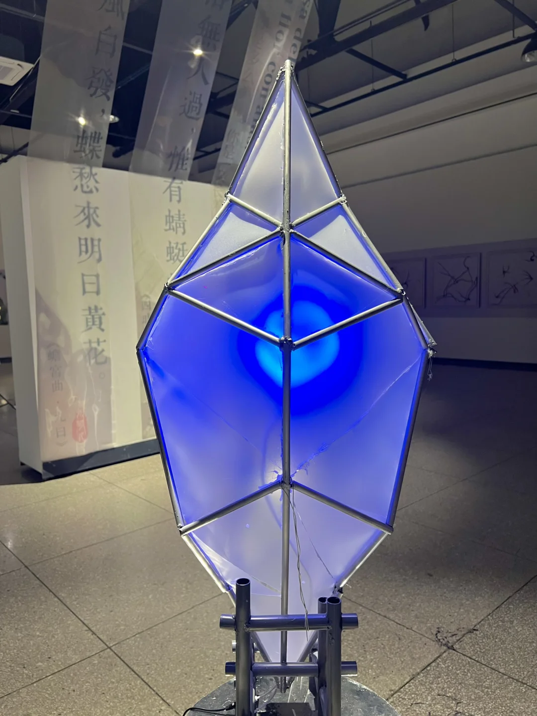 武汉新展！蓝色蝴蝶?美哭了！！