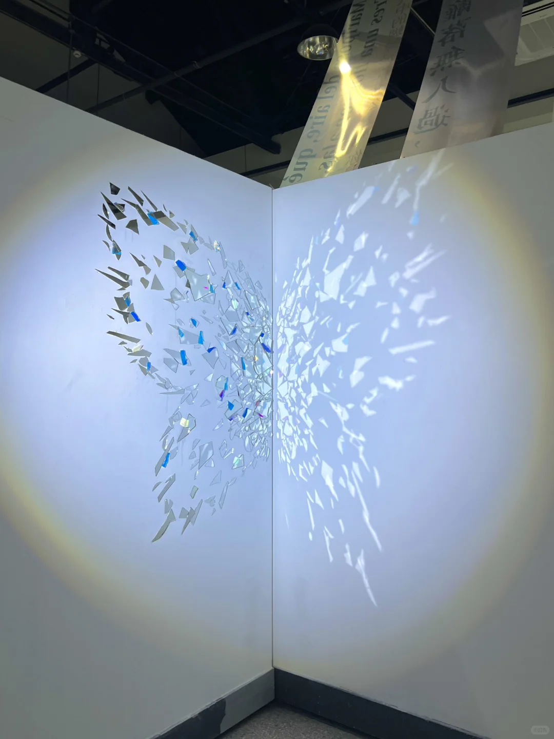 武汉新展！蓝色蝴蝶?美哭了！！