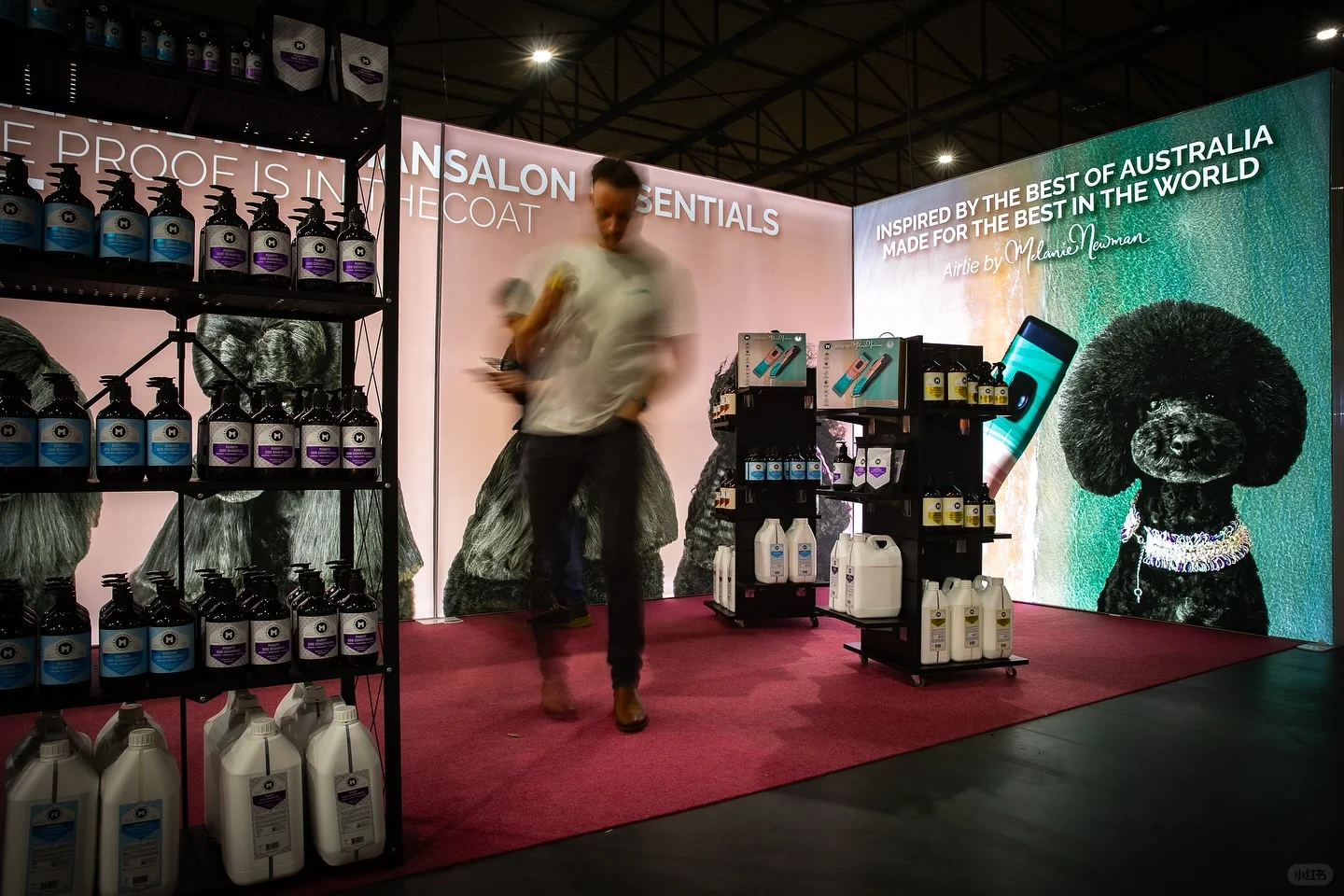 ✨ Melanienewman在比利时Groomania展会 ✨