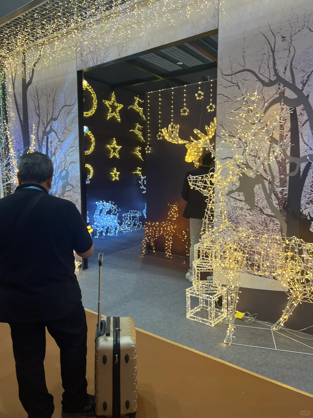 广交会第二期好漂亮