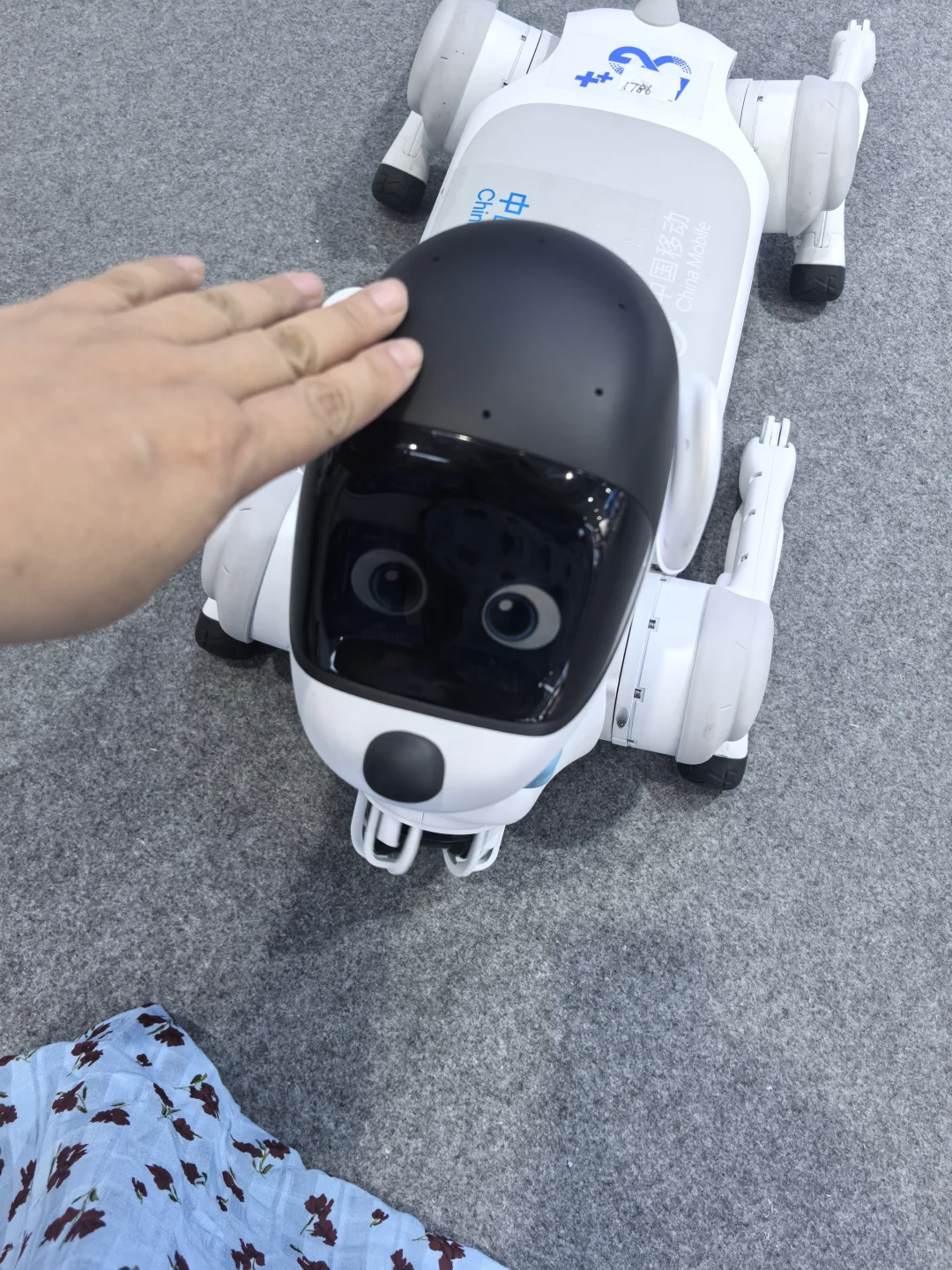 服贸会这些机器人也太可爱了吧！