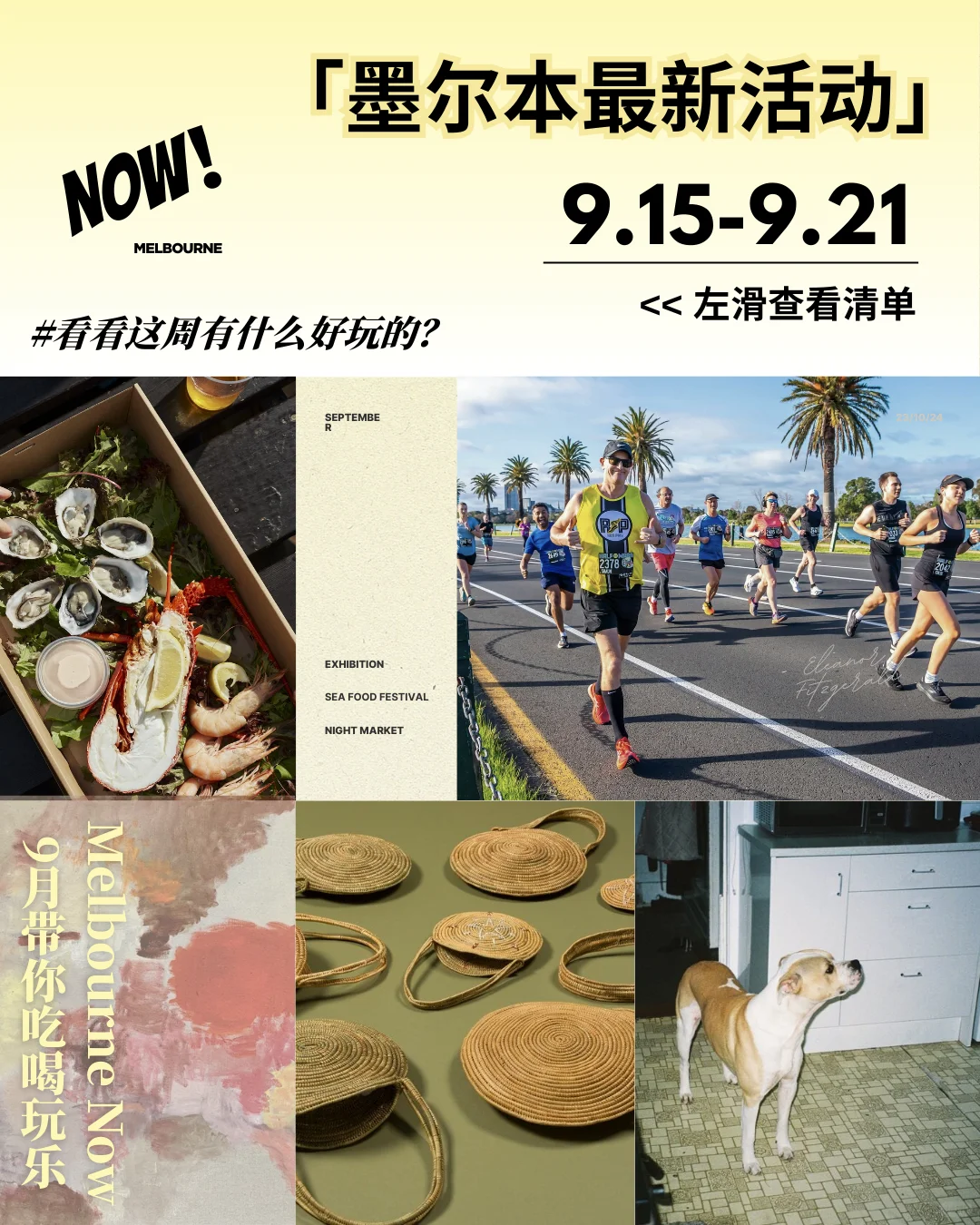 ? 本周去哪？墨尔本 9.15–9.21 活动推荐 ?