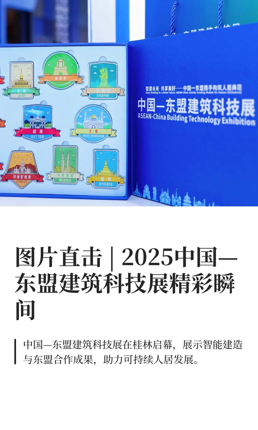 图片直击 | 2025中国—东盟建筑科技展精彩