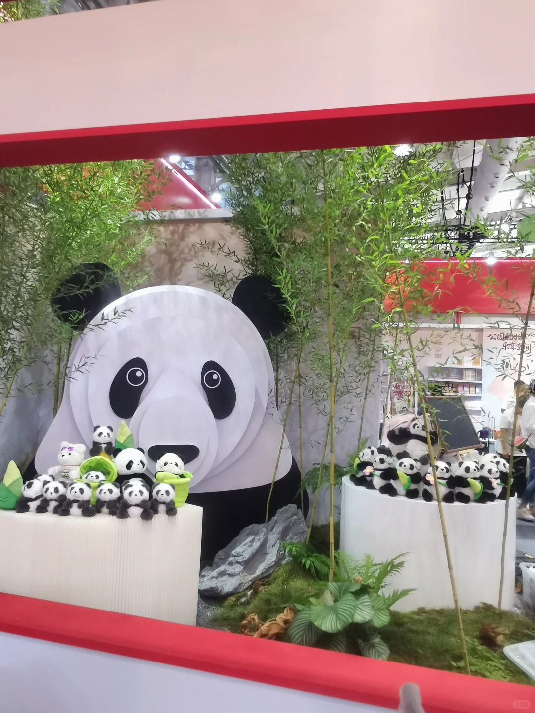 已经各就各位，就等您来啦‼️