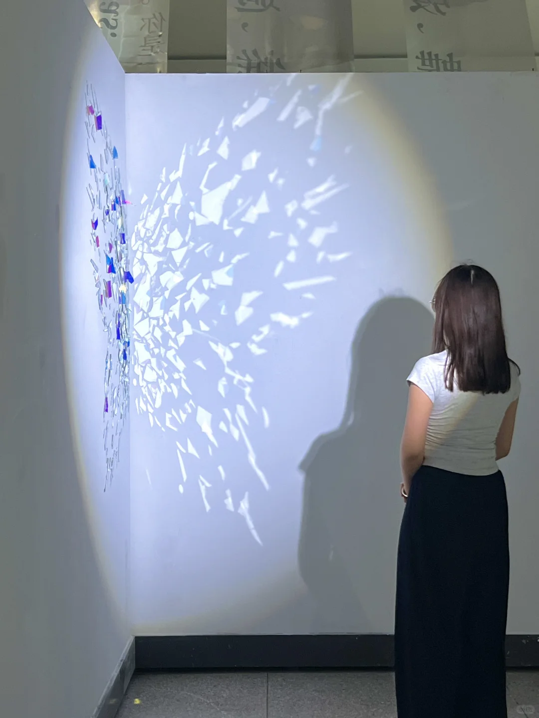 武汉新展！蓝色蝴蝶?美哭了！！